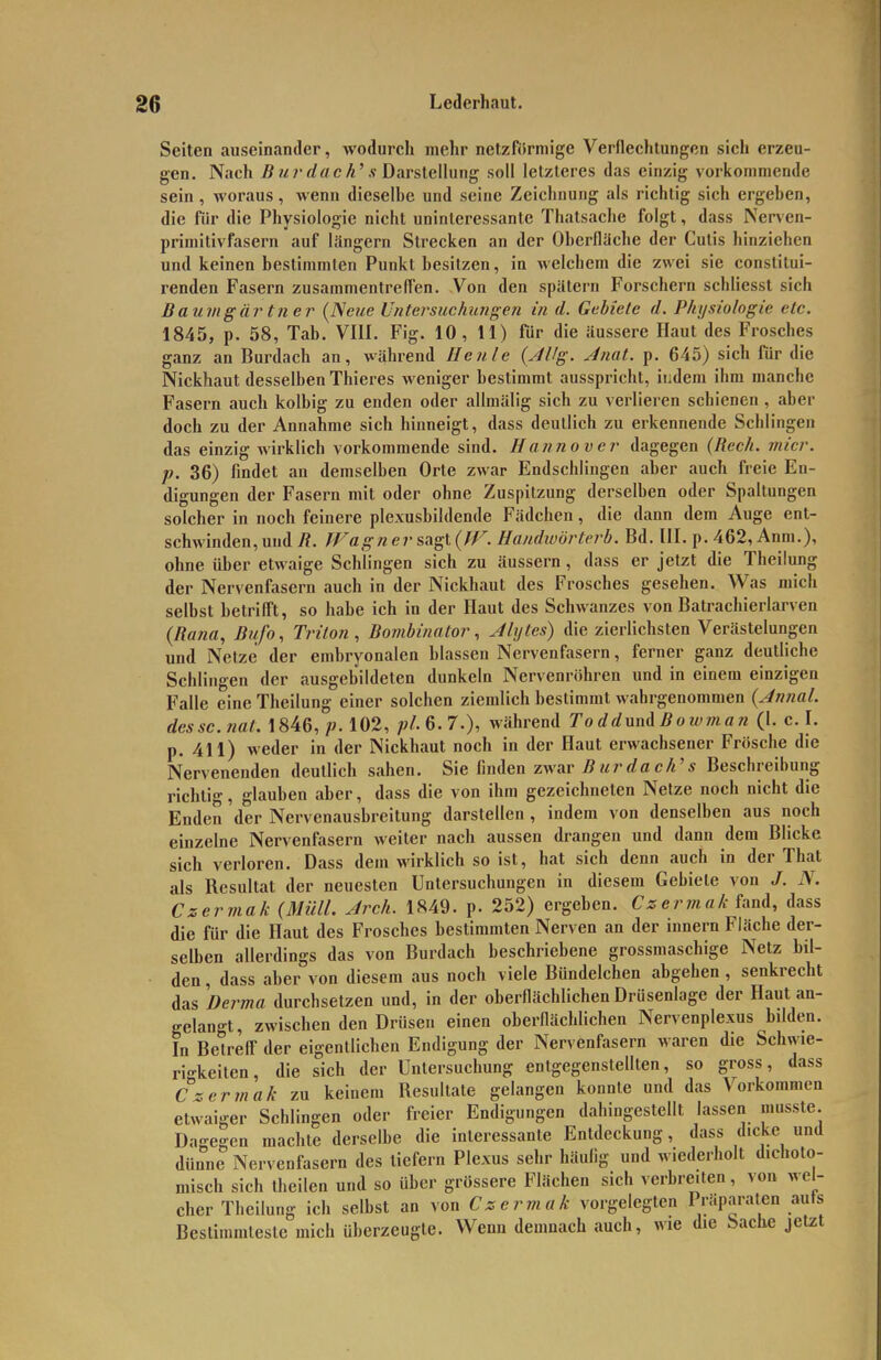 Seiten auseinander, wodurch mehr netzförmige Verflechtungen sich erzen- gen. Nach Burdach's Dar Stellung soll letzleres das einzig vorkommende sein, woraus, wenn dieselhe und seine Zeichnung als richtig sich ergehen, die für die Physiologie nicht uninteressante Thalsache folgt, dass Nerven- primilivfasern auf längern Strecken an der Ohcrfläche der Cutis hinziehen und keinen bestimmten Punkt besitzen, in welchem die zwei sie constitui- renden Fasern zusammentreffen. Von den spätem Forschern schliesst sich Baumgär tner (Neue Untersuchintgen in d. Gebiete d. Physiologie etc. 1845, p. 58, Tah. VIII. Fig. 10, 11) für die äussere Haut des Frosches ganz an Burdach an, während He nie {AUg. Anat. p. 645) sich für die Nickhaut desselben Thieres weniger bestimmt ausspricht, indem ihm manche Fasern auch kolbig zu enden oder allmälig sich zu verlieren schienen, aber doch zu der Annahme sich hinneigt, dass deutlich zu erkennende Schlingen das einzig wirklich vorkommende sind. Hannover dagegen (Rech. micr. p. 36) findet an demselben Orte zwar Endschlingen aber auch freie En- digungen der Fasern mit oder ohne Zuspitzung derselben oder Spaltungen solcher in noch feinere plexusbildende Fädchen, die dann dem Auge ent- schwinden, und R. Wagner sagt (JV. Handwörterb. Bd. III. p. 462, Anm.), ohne über etwaige Schlingen sich zu äussern, dass er jetzt die Theilung der Nervenfasern auch in der Nickhaut des Frosches gesehen. Was mich selbst betrifft, so habe ich in der Haut des Schwanzes von Batrachierlarven {Ra7ia, Bufo, Triton, Bombinator, Alytes) die zierlichsten Verästelungen und Netze der embryonalen blassen Nervenfasern, ferner ganz deutliche Schlingen der ausgebildeten dunkeln Nervenröhren und in einem einzigen Falle eine Theilung einer solchen ziemlich bestimmt wahrgenommen {Annal. desse.nal. 1846, p. 102, pl.6.7.), während ToddundBow?nan (1. c. I. p. 411) weder in der Nickhaut noch in der Haut erwachsener Frösche die Nervenenden deutlich sahen. Sie finden zwar Burdach's Beschreibung richti-, glauben aber, dass die von ihm gezeichneten Netze noch nicht die Enden der Nervenausbreitung darstellen, indem von denselben aus noch einzelne Nervenfasern weiter nach aussen drangen und dann dem Blicke sich verloren. Dass dem wirklich so ist, hat sich denn auch in der That als Resultat der neuesten Untersuchungen in diesem Gebiete von J. N. Czermak (Müll. Arch. 1849. p. 252) ergeben. CzermakhnA, dass die für die Haut des Frosches bestimmten Nerven an der innern Fläche der- selben allerdings das von Burdach beschriebene grossmaschige Netz bil- den , dass aber von diesem aus noch viele Bündelchen abgehen, senkrecht das Derma durchsetzen und, in der oberflächlichen Drüsenlage der Haut an- gelangt, zwischen den Drüsen einen oberflächlichen Nervenplexus bilden. In Betreff der eigentlichen Endigung der Nervenfasern waren die Schwie- rigkeiten, die sich der Untersuchung entgegenstellten, so gross, dass Czermak zu keinem Resultate gelangen konnte und das Vorkommen etwaiger Schlingen oder freier Endigungen dahingestellt lassen niusste. Dagegen machte derselbe die interessante Entdeckung, dass dicke und dünne Nervenfasern des tiefern Plexus sehr häufig und wiederholt d.cholo- misch sich theilen und so über grössere Flächen sich verbreiten, von wel- cher Theilung ich selbst an von Czermak vorgelegten Präparaten auts Bestimmteste mich überzeugte. Wenn demnach auch, wie die Sache jetzt