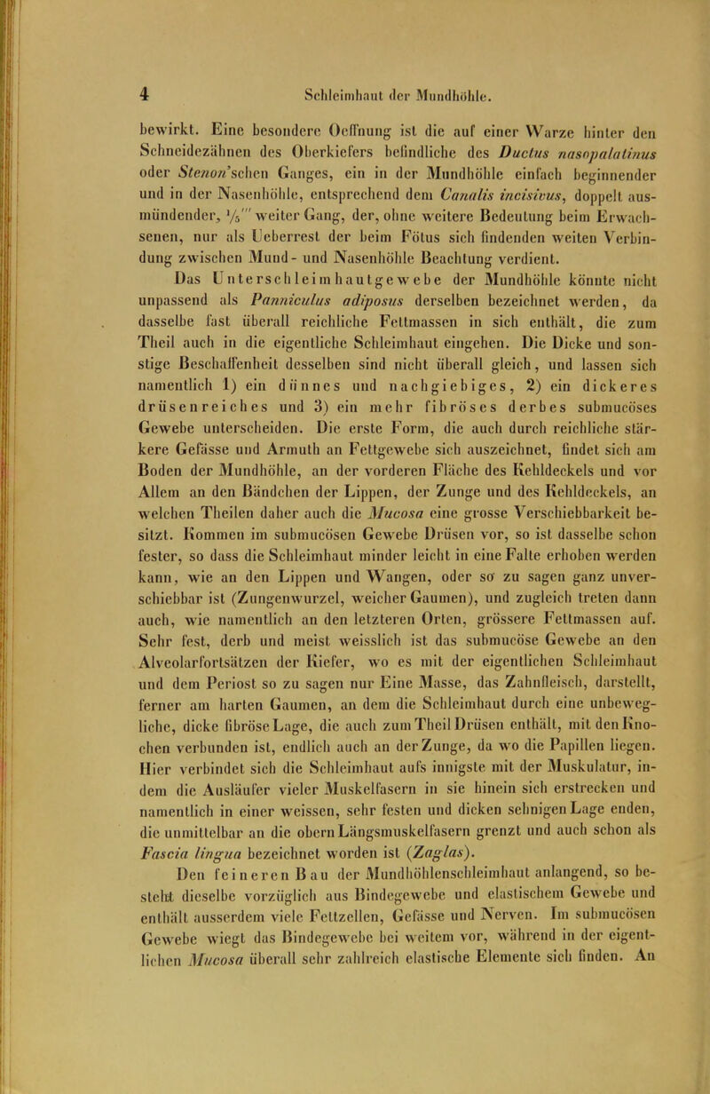 bewirkt. Eine besondere Ocffnung ist die auf einer Warze hinter den Schneidezähnen des Oberkiefers befindliche des Ductus nasnpalalinus oder Ste7W7i'sehen Ganges, ein in der Mundhöhle einlach beginnender und in der Nasenhöhle, entsprechend dem Canalis incisivus, doppelt aus- mündender, %' weiter Gang, der, ohne weitere Bedeutung beim Erwach- senen, nur als Ueberrest der beim Eötus sich findenden weiten Verbin- dung zwischen Mund - und Nasenhöhle Beachtung verdient. Das Unterschleimhautgewebe der Mundhöhle könnte nicht unpassend als Panniculus adiposus derselben bezeichnet werden, da dasselbe fast überall reichliche Feltmassen in sich enthält, die zum Theil auch in die eigentliche Schleimhaut eingehen. Die Dicke und son- stige Beschaffenheit desselben sind nicht überall gleich, und lassen sich namentlich 1) ein dünnes und nachgiebiges, 2) ein dickeres drüsenreiches und 3) ein mehr fibröses derbes submucöses Gewebe unterscheiden. Die erste Form, die auch durch reichliche stär- kere Gefässe und Armuth an Fettgewebe sich auszeichnet, findet sich am Boden der Mundhöhle, an der vorderen Fläche des Kehldeckels und vor Allem an den Bündchen der Lippen, der Zunge und des Kehldeckels, an welchen Theilen daher auch die Mucosa eine grosse Verschiebbarkeit be- sitzt. Kommen im submucösen Gewebe Drüsen vor, so ist dasselbe schon fester, so dass die Schleimhaut minder leicht in eine Falte erhoben werden kann, wie an den Lippen und Wangen, oder so zu sagen ganz unver- schiebbar ist (Zungenwurzel, weicher Gaumen), und zugleich treten dann auch, wie namentlich an den letzteren Orten, grössere Fettmassen auf. Sehr fest, derb und meist weisslich ist das submucöse Gewebe an den Alveolarlörtsätzen der Kiefer, wo es mit der eigentlichen Schleimhaut und dem Periost so zu sagen nur Eine Masse, das Zahnfleisch, darstellt, ferner am harten Gaumen, an dem die Schleimhaut durch eine unbeweg- liche, dicke fibröse Lage, die auch zum Theil Drüsen enthält, mit den Kno- chen verbunden ist, endlich auch an der Zunge, da wo die Papillen liegen. Hier verbindet sich die Schleimhaut aufs innigste mit der Muskulatur, in- dem die Ausläufer vieler Muskelfasern in sie hinein sich erstrecken und namentlich in einer weissen, sehr festen und dicken sehnigen Lage enden, die unmittelbar an die obern Längsmuskelfasern grenzt und auch schon als Fascia Lingua bezeichnet worden ist {Zaglas). Den feineren Bau der Mundhöhlenschleimhaut anlangend, so be- steht dieselbe vorzüglich aus Bindegewebe und elastischem Gewebe und enthält ausserdem viele Fellzellen, Gefässe und Nerven. Im submucösen Gewebe wiegt das Bindegewebe bei weitem vor, während in der eigent- lichen Mucosa überall sehr zahlreich elastische Elemente sich finden. An