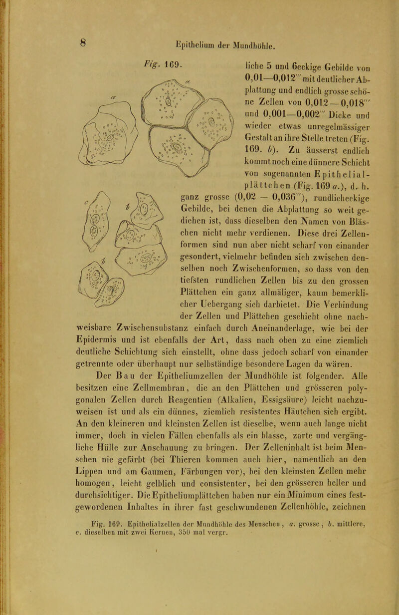 FiS- 169- üche 5 und öeckige Gebilde von 0,01—0,012 mitdeutliche, Ab- plattung und endlich grosse schö- ne Zellen von 0,012 — 0,018 und 0,001-0,002 Dicke und wieder etwas unregelmässiger Gestalt an ihre Stelle treten (Fig. 169. b). Zu äusserst endlieh kommt noch eine dünnere Schicht von sogenannten Epithelial- plättchen (Fig. 169«.), d. h. ganz grosse (0,02 — 0,036'), rundlicheckige Gebilde, bei denen die Abplattung so weit ge- diehen ist, dass dieselben den Namen von Bläs- chen nicht mehr verdienen. Diese drei Zellen- formen sind nun aber nicht scharf von einander gesondert, vielmehr befinden sich zwischen den- selben noch Zwischenformen, so dass von den tiefsten rundlichen Zellen bis zu den grossen Plättchen ein ganz allmäliger, kaum bemerkli- cher Uebergang sich darbietet. Die Verbindung der Zellen und Plättchen geschieht ohne nach- weisbare Zwischensubslanz einfach durch Aneinanderlage, wie bei der Epidermis und ist ebenfalls der Art, dass nach oben zu eine ziemlich deutliche Schichtung sich einstellt, ohne dass jedoch scharf von einander getrennte oder überhaupt nur selbständige besondere Lagen da wären. Der Bau der Epitheliumzellen der Mundhöhle ist folgender. Alle besitzen eine Zellmembran, die an den Plältchen und grösseren poly- gonalen Zellen durch Rcagentien (Alkalien, Essigsäure) leicht nachzu- weisen ist und als ein dünnes, ziemlich resistentes Häutchen sich ergibt. An den kleineren und kleinsten Zellen ist dieselbe, wenn auch lange nicht immer, doch in vielen Fällen ebenfalls als ein blasse, zarte und vergäng- liche Hülle zur Anschauung zu bringen. Der Zelleninhalt ist beim Men- schen nie gefärbt (bei Thieren kommen auch hier, namentlich an den Lippen und am Gaumen, Färbungen vor), bei den kleinsten Zellen mehr homogen, leicht gelblich und consislenter, bei den grösseren heller und durchsichtiger. DieEpilhcliumpIällchen haben nur ein Minimum eines fest- gewordenen Inhaltes in ihrer fast geschwundeuen Zellenhöhle, zeichnen Fig. 160. Epithelinlzrllen der Mundhöhle dos Menschen, a. grosse, b. mittlere, c. dieselben mit zwei Kernen, 350 mal vergr.
