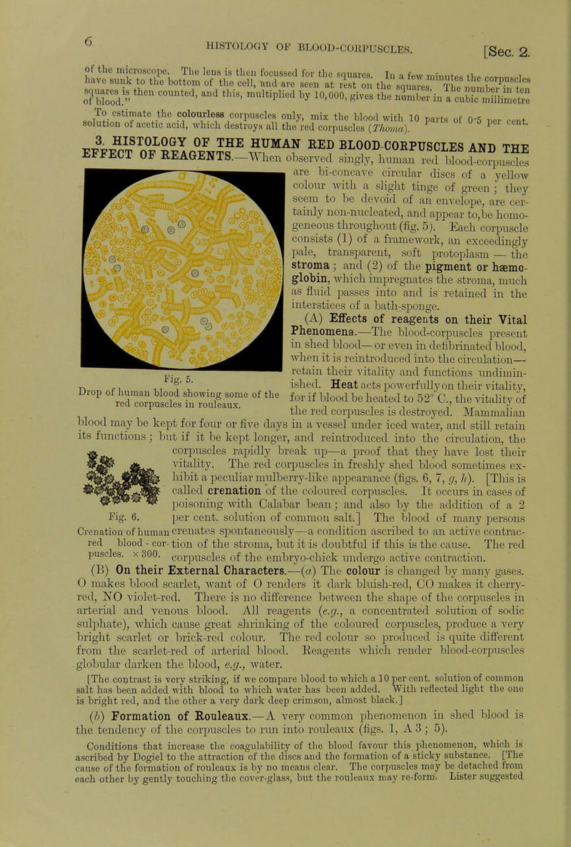 HISTOLOGY OF BLOOD-COllPUSCLES. of the microscope. Fig. 5. Drop of human blood showing some of the red corpuscles in rouleaux. The lens is then focussed for the sauares Tn t fo«r *i i have sunk to the bottom of the ceil, and are seen at rest on flJiS^ffiSiSSS: SlSS5? thCn C°Unted' thiS' mUltiplied by 10'°00' «iV6S the -nreHnV'cVbTctiUimetre ,nW estilate..thc .colourless corpuscles only, mix the blood with 10 parts of 0'5 ner cent solution ot acetic acid, which destroys all the red corpuscles (Thoma). 1 EFFE^TOF1^^^11 w!™A? RED B^0DC0EPUSCIES AND THE EFFECT OF REAGENTS—When observed singly, human red blood-corpuscles  ' are bi-concave circular discs of a yelloAv colour Avith a slight tinge of green ; they seem to be devoid of an envelope, are cer- tainly non-nucleated, and appear to,be homo- geneous throughout (fig. 5Each corpuscle consists (1) of a framework, an exceedingly pale, transparent, soft protoplasm — the stroma; and (2) of the pigment or haemo- globin, which impregnates the stroma, much as fluid passes into and is retained in the is retained m interstices of a bathTsponge. (A) Effects of reagents on their Vital Phenomena.—The blood-corpuscles present in shed blood— or even in defibrinated blood, when it is reintroduced into the circulation— retain their vitality and functions undimin- ished. Heat acts powerfully on their vitabty, for if blood be heated to 52° C, the vitality of the red corpuscles is destroyed. Mammalian blood may be kept for four or five days in a vessel under iced water, and still retain its functions; but if it be kept longer, and reintroduced into the circulation, the «corpuscles rapidly break up—a proof that they have lost their 4.^ vitality. The red corpuscles in freshly shed blood sometimes ex- hibit a peculiar mulberry-like appearance (figs. 6, 7, g, li). [This is called crenation of the coloured corpuscles. It occurs in cases of poisoning with Calabar bean; and also by the addition of a 2 per cent, solution of common salt.] The blood of many persons Crenation of human crenates spontaneously—a condition ascribed to an active contrac- red blood - cor- tion of the stroma, but it is doubtfid if this is the cause. The red puscles. x 300. corpuscles of the embryo-chick imdergo active contraction. (B) On their External Characters.—(a) The colour is changed by many gases. 0 makes blood scarlet, want of 0 renders it dark bluish-red, CO makes it cherry- red, NO violet-red. There is no difference between the shape of the corpuscles in arterial and venous blood. All reagents (e.g., a concentrated solution of sodic sidphate), which cause great shrinking of the coloured corpuscles, produce a very bright scarlet or brick-red colour. The red colour so produced is quite different from the scarlet-red of arterial blood. Reagents which render blood-corpuscles globular darken the blood, e.g., water. [The contrast is very striking, if we compare blood to which a 10 per cent, solution of common salt has been added with blood to which water has been added. With reflected light the one is bright red, and the other a very dark deep crimson, almost black.] (h) Formation of Rouleaux.—A very common phenomenon in shed blood is the tendency of the corpuscles to run into rouleaux (figs. 1, A 3 ; 5). Conditions that increase the coagulability of the blood favour this phenomenon, which is ascribed by Dogiel to the attraction of the discs and the formation of a sticky substance. [The cause of the formation of rouleaux is by no means clear. The corpuscles may be detached from each other by gently touching the cover-glass, but the rouleaux may re-form. Lister suggested