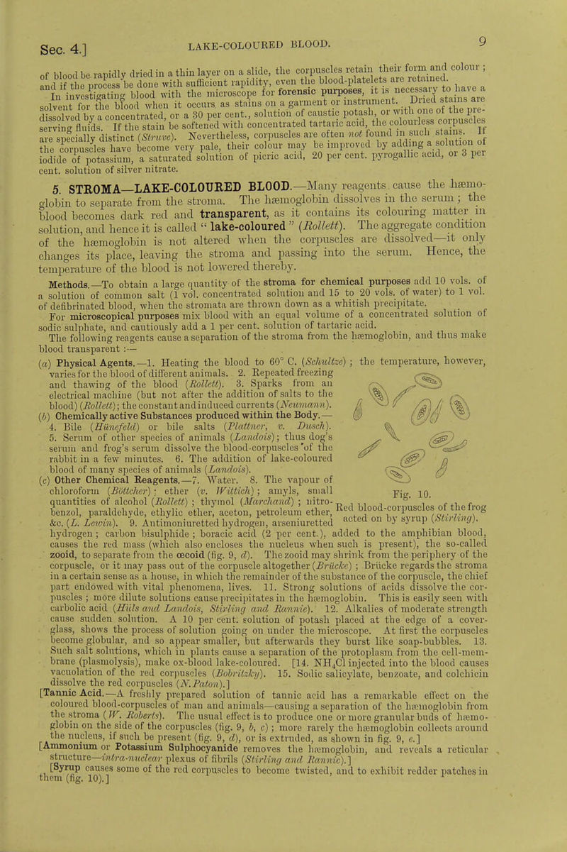 LAKE-COLOURED BLOOD. «nlvpnr for the blood when it occurs as stains on a garment or instrument. ^IvA irTconZtnted or a 30 per cent., solution of caustic potash, or with one of the pre- Sfluids If the stain be softened with concentrated tartaric acid the colourless corpuscles ar^specillly distinct {Strum). Nevertheless, corpuscles are often not oud m BUcb tarns 1 the corpuscles have become very pale, their colour may be improved by ad ding ^ solu^r:ot iodide of potassium, a saturated solution of picric acid, 20 per cent, pyrogalhc acid, oi 3 per cent, solution of silver nitrate. 5 STROMA—LAKE-COLOURED BLOOD.—Many reagents. cause the haemo- globin to separate from the stroma. The haemoglobin dissolves in the serum ; the blood becomes dark red and transparent, as it contains its colouring matter m solution, and hence it is called  lake-coloured  (Rollett). The aggregate condition of the haemoglobin is not altered when the corpuscles are dissolved—it only changes its place, leaving the stroma and passing into the serum. Hence, the temperature of the blood is not lowered thereby. Methods.—To obtain a large quantity of the stroma for chemical purposes add 10 vols, of a solution of common salt (1 vol. concentrated solution and 15 to 20 vols, ot water) to 1 vol. of defibrinated blood, when the stromata are thrown down as a whitish precipitate. For microscopical purposes mix blood with an equal volume of a concentrated solution of sodic sulphate, and cautiously add a 1 per cent, solution of tartaric acid. The following reagents cause a separation of the stroma from the hfenioglobin, and thus make blood transparent :— (a) Physical Agents.—1. Heating the blood to 60° C. (Schidt:e) ; the temperature, however, varies for the blood of different animals. 2. Repeated freezing and thawing of the blood {Rollett). 3. Sparks from an electrical machine (but not after the addition of salts to the blood) {Rollett); the constant andinduced currents {Neumami), {b) Chemically active Substances produced within the Body.— 4. Bile {Hiinefeld) or bile salts {Plattner, v. Dusch). 5. Serum of other species of animals {Landois); thus dog's serum and frog's serum dissolve the blood-corpuscles of the rabbit in a few minutes. 6. The addition of lake-coloured blood of many species of animals {Landois). (c) Other Chemical Reagents.—7. Water. 8. The vapour of chloroform {Bbtlcher) ; ether {v. Wittich); amyls, small wjc ^q quantities of alcohol {Rollett) ; thymol (Marchand) ; nitro- „ , ,, , ° , c r benzol, paraldehyde, ethylic ether; aceton, petroleum ether, Rec\b ood-corpusclos of the frog &c. {L. Leivin). 9. Antimoniuretted hydrogen, arseniuretted acted 011 b>' syrup (Mtmnflf;. hydrogen; carbon bisulphide; boracic acid (2 per cent.), added to the amphibian blood, causes the red mass (which also encloses the nucleus when such is present), the so-called zooid, to separate from the oecoid (fig. 9, d). The zooid may shrink from the periphery of the corpuscle, or it may pass out of the corpuscle altogether {Briiekc) ; Briicke regards the stroma in a certain sense as a house, in which the remainder of the substance of the corpuscle, the chief part endowed with vital phenomena, lives. 11. Strong solutions of acids dissolve the cor- puscles ; more dilute solutions cause precipitates in the hfemoglobin. This is easily seen with carbolic acid {Hiils anel Landois, Stirling and Reamie). 12. Alkalies of moderate strength cause sudden solution. A 10 per cent, solution of potash placed at the edge of a cover- glass, shows the process of solution going on under the microscope. At first the corpuscles become globular, and so appear smaller, but afterwards they burst like soap-bubbles. 13. Such salt solutions, which in plants cause a separation of the protoplasm from the cell-mem- brane (plasmolysis), make ox-blood lake-coloured. [14. NH4C1 injected into the blood causes vacuolation of the red corpuscles {Bobritzky). 15. Sodic salicylate, benzoate, and colchicin dissolve the red corpuscles {N.Paton).] [Tannic Acid.—A freshly prepared solution of tannic acid has a remarkable effect on the coloured blood-corpuscles of man and animals—causing a separation of the hfemoglobin from the stroma ( W. Robert?). The usual effect is to produce one or more granular buds of hemo- globin on the side of the corpuscles (fig. 9, b, c); more rarely the hfemoglobin collects around the nucleus, if such be present (fig. 9, d), or is extruded, as shown in fig. 9, e.] [Ammonium or Potassium Sulphocyanide removes the hfemoglobin, and reveals a reticular structure—intra-miclear plexus of fibrils {Stirling and Rannic).] [Syrup causes some of the red corpuscles to become twisted, and to exhibit redder patches in them (fig. 10).] 1