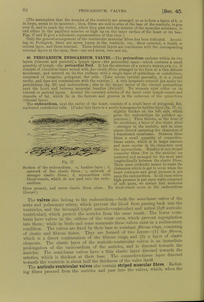[The assumption that the muscles of the ventricle are arranged so as to form a figure of 8, or in loops, seems to bo incorrect ; thus, fibres are said to arise nt the base of the ventricle, to pass over it, and to reach the vortex, where they pass into the interior of the muscular substance, to end either in the papillary muscles or high up on the inner surface of the heart at its base. Figs. C and D give a schematic representation of this view.] Only the general arrangement of the ventricular muscular fibres has been indicated. Accord- ing to Pettigrew, there are seven layers in the ventricle, viz., three external, a fourth or central layer, and three internal. These internal layers are continuous with the corresponding external layers at the apex, thus—one and seven, two and six. 46. PERICARDIUM, ENDOCARDIUM, VALVES.—The pericardium encloses within its two layers [visceral and parietal] a lymph space—the pericardial space—which contains a small quantity of lymph—the pericardial fluid. It has the structure of a serous membrane, i.e., it consists of conncctivc-tissicc mixed with fine elastic fibres arranged in the form of a thin delicate membrane, and covered on its free surfaces with a single layer of epithelium or endothelium, composed of irregular, polygonal, flat cells. [Like serous cavities generally, it is a closed cavity, and does not communicate with the exterior.] A rich lymphatic network lies under the pericardium (fig. 29) and endocardium ; also in the deeper layers of the visceral pericardium next the heart and between muscular bundles (Salvioli). No stoinata exist either on its visceral or parietal layers. Around the coronary arteries of the heart exist lymph-vessels and deposits of fat, which lie in the furrows and grooves in the subserosa of the epicardium (visceral layer). The endocardium, next the cavity of the heart, consists of a single layer of polygonal, flat, nucleated endothelial cells. [Under this there is a nearly homogeneous hyaline layer (fig. 37, a), slightly thicker on the left side, which gives the endocardium its polished ap- pearance.] Then follows, as the basis of the membrane, a layer of fine clastic fibres —stronger in the auricles, and in some places thereof assuming the characters of a fenestrated membrane. Between these fibres a small quantity of connective- tissue exists, which is in larger amount and more areolar in its characters next the myocardium. Bundles of non-striped muscular fibres (few in the auricles) are scattered and arranged for the most part longitudinally between the elastic fibres. These seem evidently meant to resist the distension which is apt to occur when the heart contracts and great pressure is put upon the endocardium. In all cases where high pressure is put upon walls composed cardium. of soft parts, we always find muscular fibres present, and never elastic fibres alone. No blood-vessels occur in the endocardium (Langcr). The valves also belong to the endocardium—both the semi-lunar valves of the aorta and pulmonary artery, which prevent the blood from passing back into the ventricles, and the tricuspid (right auriculo-ventricular) and mitral (left aunculo- ventricular), which protect the auricles from the same result. The lower verte- brata have valves in the orifices of the venae cavse, which prevent regurgitation into them; while in birds and some mammals these valves exist m a rudimentary condition. The valves are fixed by their base to resistant fibrous rings, consisting of elastic and fibrous tissue. They are formed of two layers—(1) the fibrous, which is a direct continuation of the fibrous rings, and (2) a layer oi dastic elements. The elastic layer of the auriculo-ventricular valves is an immediate prolongation of the endocardium of the auricles, and is directed Inwards the auricles. The semi-lunar valves have a thin elastic layer directed towards the arteries, which is thickest at their base. The connective-tissue Layer directed towards the ventricle is about half the thickness of the valve itself. The auriculo-ventricular valves also contain striped muscular fibres. JAadiat- ing fibres proceed from the auricles and pass into the valves, winch, when the Fig. 37. Section of the endocardium, a, hyaline layer ; b, network of fine elastic fibres; c, network of stronger elastic fibres; d, myocardium with blood-vessels, which do not pass into the endo-