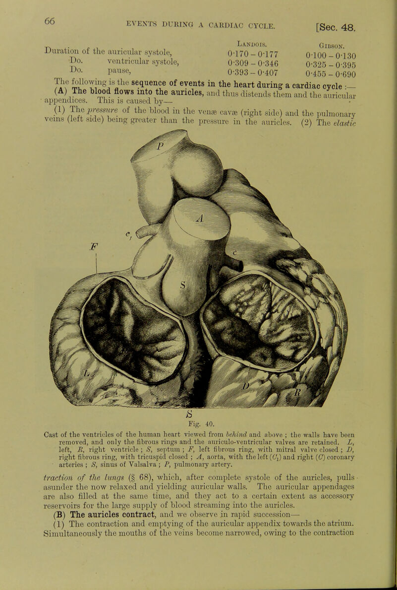 EVENTS DURING A CARDIAC CYCLE. [Sec. 48. Gibson. 0-100-0-130 0-325 -0-395 0-455-0-690 Landois. Duration of the auricular systole, 0-170 - 0'177 I*- ventricular systole, 0-309-0-346 Do. pause, 0-393-0-407 The following is the sequence of events in the heart during a cardiac cycle— (A) The Wood flows into the auricles, and thus distends them and the auricular appendices. This is caused by— (1) The^w of the blood in the venae, cavae (right side) and the pulmonary veins (left side) being greater than the pressure in the auricles. (2) The elastic Cast of the ventricles of the human heart viewed from behind and above ; the walls have been removed, and only the fibrous rings and the auriculo-ventricular valves are retained. L, left, R, right ventricle ; S, septum ; F, left fibrous ring, with mitral valve closed ; D, right fibrous ring, with tricuspid closed ; A, aorta, with the left (C\) and right (C) coronary arteries ; S, sinus of Valsalva ; P, pulmonary artery. fraction of the lungs (§ 68), which, after complete S}'stole of the auricles, pulls asunder the now relaxed and yielding auricular walls. The auricular appendages are also filled at the same time, and they act to a certain extent as accessory reservoirs for the large supply of blood streaming into the auricles. (B) The auricles contract, and we observe in rapid succession— (1) The contraction and emptying of the auricular appendix towards the atrium. Simultaneously the mouths of the veins become narrowed, owing to the contraction