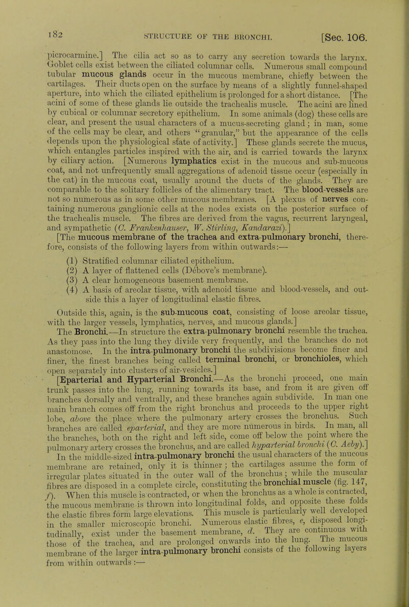 picrooarmine.] The cilia act so as bo carry any secretion towards the larynx. (1-oblet cells exist between the ciliated columnar cells. Numerous small compound tubular mucous glands occur in the mucous membrane, chiefly between the cartilages. Their ducts open on the surface by means of a slightly funnel-shaped aperture, into which the ciliated epithelium is prolonged for a short distance. [The acini of some of these glands lie outside the trachealis muscle. The acini are lined by cubical or columnar secretory epithelium. In some animals (dog) these cells are clear, and present the usual characters of a mucus-secreting gland; in man, some of the cells may be clear, and others granular, but the appearance of the cells depends upon the physiological state of activity.] These glands secrete the mucus, which entangles particles inspired with the air, and is carried towards the larynx by ciliary action. [Numerous lymphatics exist in the mucous and sub-mucous coat, and not unfrequently small aggregations of adenoid tissue occur (especially in the cat) in the mucous coat, usually around the ducts of the glands. They are comparable to the solitary follicles of the alimentary tract. The blood-vessels are not so numerous as in some other mucous membranes. [A plexus of nerves con- taining numerous ganglionic cells at the nodes exists on the posterior surface of the trachealis muscle. The fibres are derived from the vagus, recurrent laryngeal, and sympathetic (C. Franlceriliauser, W. Stirling, Kandarazi).] [The mucous membrane of the trachea and extra-pulmonary bronchi, there- fore, consists of the following layers from within outwards:— (1) Stratified columnar ciliated epithelium. (2) A layer of flattened cells (Debove's membrane). (3) A clear homogeneous basement membrane. (4) A basis of areolar tissue, with adenoid tissue and blood-vessels, and out- side this a layer of longitudinal elastic fibres. Outside this, again, is the sub-mucous coat, consisting of loose areolar tissue, with the larger vessels, lymphatics, nerves, and mucous glands.] The Bronchi.—In structure the extra-pulmonary bronchi resemble the trachea. As they pass into the lung they divide very frequently, and the branches do not anastomose. In the mtra-pulmonary bronchi the subdivisions become finer and finer, the finest branches being called terminal bronchi, or bronchioles, which open separately into clusters of air-vesicles.] [Eparterial and Hyparterial Bronchi.—As the bronchi proceed, one main trunk passes into the lung, running towards its base, and from it are given oft' branches dorsally and ventrally, and these branches again subdivide. In man one main branch comes off from the right bronchus and proceeds to the upper right lobe, above the place where the pulmonary artery crosses the bronchus. Such branches are called eparterial, and they are more mimerous in birds. In man, all the branches, both on the right and left side, come off below the point where the pulmonary artery crosses the bronchus, and are caUed hyparterial bronchi (C. Aeby).\ In the middle-sized intra-pulmonary bronchi the usual characters of the mucous membrane are retained, only it is thinner; the cartilages assume the form of irregular plates situated in the outer wall of the bronchus; while the muscular fibres are disposed in a complete circle, constituting the bronchial muscle (fig. 147, f) When this muscle is contracted, or when the bronchus as a whole is contracted, 'the mucous membrane is thrown into longitudinal folds, and opposite these folds the elastic fibres form large elevations. This muscle is particularly well developed in the smaller microscopic bronchi. Numerous elastic fibres, e, disposed longi- tudinally, exist under the basement membrane, d. They are continuous with those of the trachea, and are prolonged onwards into the lung. The mucous membrane of the larger intra-pulmonary bronchi consists of the following layers from within outwards :—