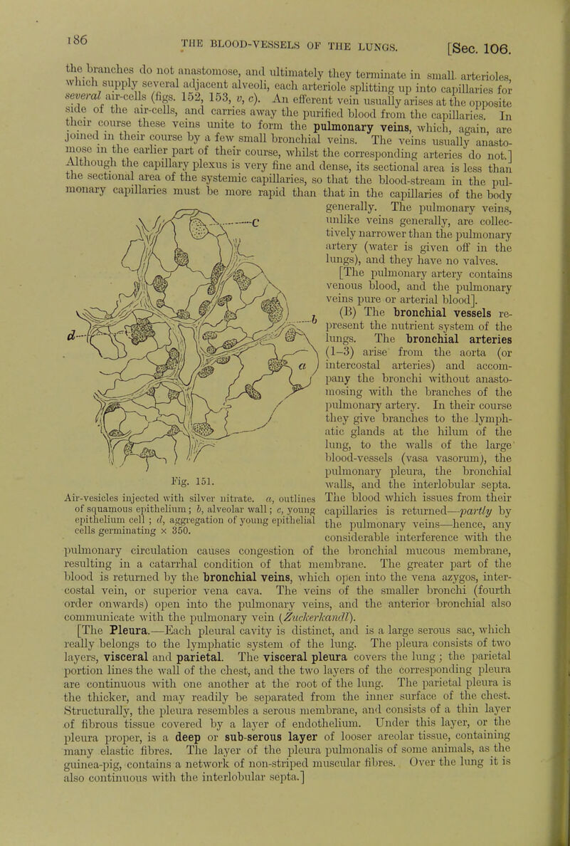 [Sec. 106. the branehes do not anastomose, and ultimately they terminate in small, arterioles Which supply several adjacent alveoli, each arteriole splitting up into capillaries for seW air-cells (figs. 152 153, v, c). An efferent vein usually arises at the opposite side of the air-cells, and carries away the purified blood from the capillaries In their course these veins unite to form the pulmonary veins, which, again, are joined in their course by a few small bronchial veins. The veins usually anasto- mose m the earlier part of their course, whilst the corresponding arteries do not 1 Although the capillary plexus is very fine and dense, its sectional area is less than the sectional area of the systemic capillaries, so that the blood-stream in the pul- monary capillaries must be more rapid than that in the capillaries of the body generally. The pulmonary veins, unlike veins generally, are collec- tively narrower than the pulmonary artery (water is given off in the lungs), and they have no valves. [The pulmonary artery contains venous blood, and the pulmonary veins pure or arterial blood]. (B) The bronchial vessels re- present the nutrient system of the lungs. The bronchial arteries (1-3) arise from the aorta (or intercostal arteries) and accom- pany the bronchi without anasto- mosing Avith the branches of the pulmonary artery. In their course they give branches to the lymph- atic glands at the hilum of the lung, to the walls of the large blood-vessels (vasa vasorum), the pulmonary pleura, the bronchial walls, and the interlobular septa. The blood which issues from their capillaries is returned—partly by the pulmonary veins—hence, any considerable interference with the the bronchial mucous membrane, Fig. 151. Air-vesicles injected with silver nitrate, a, outlines of squamous epithelium; b, alveolar wall; c, young epithelium cell ; d, aggregation of young epithelial cells germinating x 350. pulmonary circulation causes congestion of resulting in a catarrhal condition of that membrane. The greater part of the blood is returned by the bronchial veins, which open into the vena azygos, inter- costal vein, or superior vena cava. The veins of the smaller bronchi (fourth order onwards) open into the pulmonary veins, and the anterior bronchial also communicate with the pulmonary vein {ZuckerTcandl). [The Pleura.—Each pleural cavity is distinct, and is a large serous sac, which really belongs to the lymphatic system of the lung. The pleura consists of two layers, visceral and parietal. The visceral pleura covers the lung ; the parietal portion lines the wall of the chest, and the two layers of the corresponding pleura are continuous with one another at the root of the lung. The parietal pleura is the thicker, and may readily be separated from the inner surface of the chest. Structurally, the pleura resembles a serous membrane, and consists of a thin layer of fibrous tissue covered by a layer of endothelium. Under this layer, or the pleura proper, is a deep or sub-serous layer of looser areolar tissue, containing many elastic fibres. The layer of the pleura pulmonalis of some animals, as the guinea-pig, contains a network of non-striped muscular fibres. Over the lung it is also continuous with the interlobular septa.]