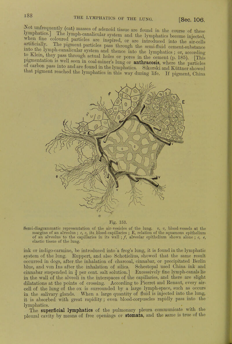 THE LYMPHATICS OF THE LUNG. [Sec. 106. wSSSl tI (5 } T*v ^d6noid fci8Sue ai'e i'11 in th of these v . n ] Z1'0 ■vml>IV^cular system and the lymphatics become injected, StiflriJK t P^fles are inspired, ox are introduced into the air-cells S, i The pigment particles pass through the semi-fluid cement-substance mtothe lymph-canalicular system and thence into the lymphatics; or, according to Klein they pass through actual holes or pores in the cement (p. 185). [This pigmentation is well seen in coal-miner's lung or anthracosis, where the particles oi carbon pass into and are found in the lymphatics. Sikorski and Kflttner showed that pigment reached the lymphatics in this way during life. If pigment, China Fig. 153. Semi-diagrammatic representation of the air-vesicles of the lung, v, v, blood-vessels at the margins of an alveolus ; c, c, its blood-capillaries ; E, relation of the squamous epithelium of an alveolus to the capillaries in its wall ; /, alveolar epithelium shown alone ; e, e, elastic tissue of the lung. ink or indigo-carmine, be introduced into a frog's lung, it is found in the lymphatic system of the lung. Ruppert, and also Schotielius, showed that the same result occurred in dogs, after the inhalation of charcoal, cinnabar, or precipitated Berlin blue, and von Ins after the inhalation of silica. Schestopal used China ink and cinnabar suspended in f per cent, salt solution.] Excessively fine lymph-canals lie in the wall of the alveoli in the interspaces of the capillaries, and there are slight dilatations at the points of crossing. According to Pierret and Renaut, every air- cell of the lung of the ox is surrounded by a large lymph-space, such as occurs in the salivary glands. When a large quantity of fluid is injected into the lung, it is absorbed with great rapidity; even blood-corpuscles rapidly pass into the lymphatics. The superficial lymphatics of the pulmonary pleura communicate with the pleural cavity by means of free openings or stomata, and the snme is true of the