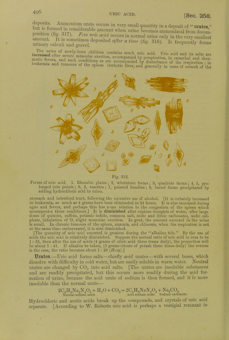 URIC ACID. [Sec. 258. bSfc ft;, JVin-m°niU-ni ™S? 0CCm'S in Very sma11 (luautityin * deP°sit of  urates » osimnr^\Vr8,i 01 • ^T' WheU. m>ine becomes «MnflL«l from decern- position {fit, M). J ree uric acid occurs m normal urine only in the very smallest .Jwre.'&si str^s xob-jt jests s^r-ss^s^ Fig. 312. Forms of uric acid. 1. Rhombic plates ; 2, whetstone forms ; 3, quadrate forms ; 4, 5, pro longed into points ; 6, 8, rosettes ; 7, pointed bundles; 9, barrel forms precipitated by adding hydrochloric acid to urine stomach and intestinal tract, following the excessive use of alcohol. [It is certainly increased in leukaemia, as much as 4 grams have been eliminated in 24 hours. It is also increased during ague and fevers, and perhaps this has some relation to the congestion of the spleen which accompanies these conditions.] It is diminished after copious draughts of water, after large doses of quinine, caffein, potassic iodide, common salt, sodic and litliic carbonates, sodic sul- phate, inhalation of 0, slight muscular exertion. In gout, the amount excreted in the urine is small. In chronic tumours of the spleen, anaemia, and chlorosis, when the respiration is not at the same time embarrassed, it is also diminished. [The quantity of uric acid excreted is greatest during the alkaline tide. By the use of acids the uric acid is relatively diminished. Suppose the normal ratio of uric acid to urea to be 1 : 35, then after the use of acids (4 grams of citric acid three times daily), the proportion will be about 1 : 41. If alkalies be taken, (3 grams citrate of potash three times daily) the reverse is the case, the ratio becomes about 1 : 28 (Haig).] Urates.—Uric acid forms salts—chiefly acid urates—with several bases, which dissolve with difficulty in cold water, but are easily soluble in warm water. Neutral urates are changed by C02 into acid salts. [The urates are insoluble substances and are readily precipitated, but this occurs more readily during the acid for- mation of urine, because the acid urate of sodium is then formed, and it is more insoluble than the normal urate — 2C5H2Na2N403 + H20 + C02 = 2C5H3NaN403 + Na2C03 Nonniil sodium urate Acid sodium urate Sodium carbonate. Hydrochloric and acetic acids break up the compounds, and crystals of uric and separate. [According to W. Koberts uric acid • is perhaps a vestigial remnant in