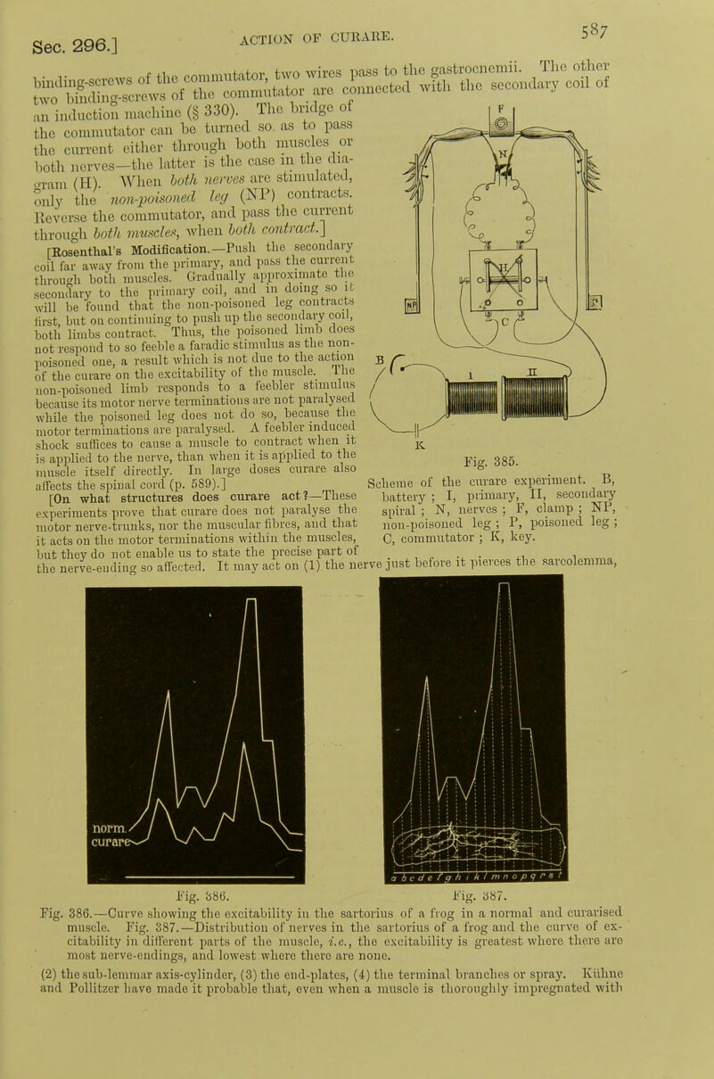 an induction macliinc (§ 330). Ihc budge 0 the commutator can be turned so as to pass the current either through both muscles or both nerves-the latter is the case m the dia- .-•ram (H). 'When both nerves are stimulated, only the non-poisoned leg (NP) contracts. Ueverse the commutator, and pass the current through both imiscles, when both contract.\ rRosenthal’s Modification.—Push the secondary coil far away from the primary, and pass the current through both muscles. Gradually approximate the secondary to the primary coil, and in doing so it will he found that the non-poisoned leg contracts first, but on continuing to push up the secondary coil, both limbs contract. Thus, the poisoned limb does not respond to so feeble a faradie stimulus as the non- poisoned one, a result which is not due to the action of the curare on the excitability of the muscle. Ihe non-poisoned limb responds to a feebler stimulus because its motor nerve terminations are not paralysed while the poisoned leg does not do so, because the motor terminations are paralysed. A feebler induced shock suffices to cause a muscle to contract when it is applied to the nerve, than when it is applied to the muscle itself directly. In large doses curare also affects the spinal cord (p. 589).] [On what structures does curare act ?—These experiments prove that curare does not paralyse the motor nerve-trunks, nor the muscular fibres, and that it acts on the motor terminations within tlie muscles, but they do not enable us to state the precise part of i „„„„ the nerve-ending so affected. It may act on (1) the nerve just before it pierces the .sarcolemma. Fig. 385. Scheme of the curare experiment. B, battery ; I, primary, II, secondary spiral ; N, nerves ; F, clamp ; NP, non-poisoned leg ; P, poisoned leg ; C, commutator ; K, key. norm./ curare—^ Fig. 385. Fig. 387. Fig. 386.—Curve showing the excitability in the sartorius of a frog in a normal and curarised muscle. Fig. 387.—Distribution of nerves in the sartorius of a frog and the curve of ex- citability in different parts of the muscle, i.e., the excitability is greatest where there are most nerve-endings, and lowest where there are none. (2) the siib-lemmar axis-cylinder, (3) the end-platcs, (4) the terminal branches or spray. Kiiline and Pollitzer have made it probalde that, oven when a muscle is thoroughly impregnated with