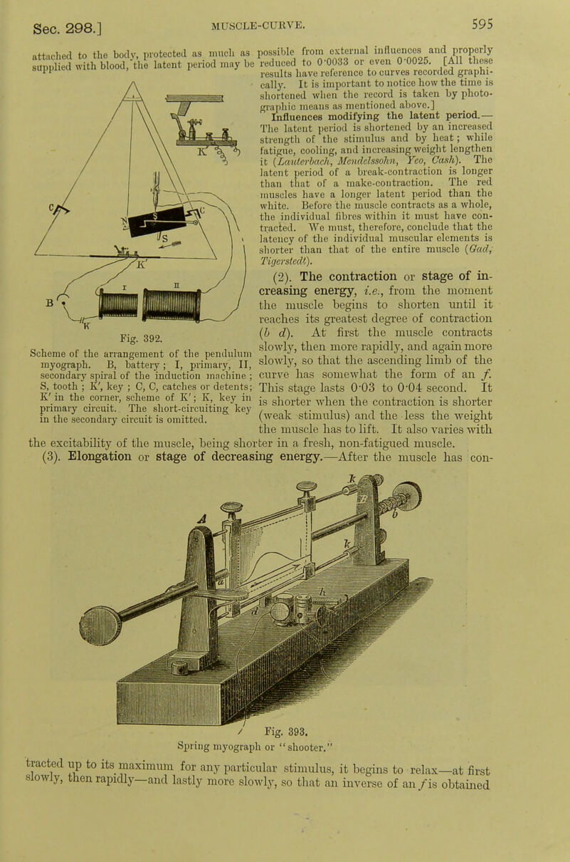 attached to the body, protected as much as supplied with blood, the latent period may be Fig. 392. Scheme of the arrangement of the pendulum myograph. B, battery; I, primary, II, secondary spiral of the induction machine ; S, tooth ; K', key ; C, C, catches or detents; K' in the corner, scheme of K'; K, key iji primary circuit. The short-circuiting key in the secondary circuit is omitted. possible from external influences and properly reduced to 0'0033 or even 0’0025. [All these results have reference to curves recorded graphi- cally. It is important to notice how the time is shortened wlien the record is taken by photo- grajdiic means as mentioned above.] Influences modifying the latent period.— The latent period is shortened by an increased strength of the stimulus and by heat; while fatigue, cooling, and increasing weight lengthen it {LaiUerhcich, Mendelssohn, Yeo, Cash). The latent period of a break-contraction is longer than that of a make-contraction. The red muscles have a longer latent period than the white. Before the muscle contracts as a whole, the individual fibres within it must have con- tracted. We must, therefore, conclude that the latency of the individual muscular elements is shorter than that of the entire muscle {Gad, Tigerstcdt). (2). The contraction or stage of in- creasing energy, i.e., from the moment the muscle begins to shorten until it reaches its greatest degree of contraction {h d). At first the muscle contracts slo^Yly, then more rapidly, and again more slowly, so that the ascending limb of the curve has somewhat the form of an f. This stage lasts 0'03 to 0’04 second. It is shorter Avhen the contraction is shorter (weak stimulus) and the less the weight the muscle has to lift. It also varies with the excitabihty of the muscle, being shorter in a fresh, non-fatigued muscle. (3). Elongation or stage of decreasing energy.—After the muscle has con- tracted up to its maximum for any particular stimulus, it begins to relax—at first slowly, then rapidly—and lastly more slowly, so that an inverse of an/is obtained