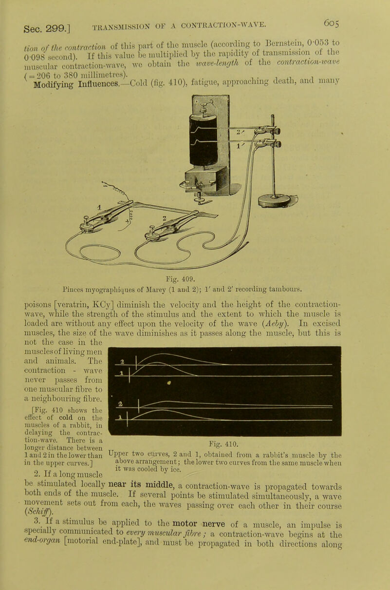 Sec. 299,] TllANSMl.SSlON OF A C(JNT11ACT10N-WAVE. iion of the contraction of this part of tlic muscle (accorduig to Bernstein, 0-053 to 0-098 second). If this value he multiplied hy the rapidity of transmission of the muscuiar contraction-ivave, we obtain the xvave-lewjtli of the contraction-wave Modifying Influences.—Cold (fig. 410), fatigue, approaching death, and many Fig. 409. Pinces myograpliKj^ues of ]\Iarey (1 ami 2); 1' and 2' recording tambours. poisons [veratrin, KCy] diminish the velocity and the height of the coiitraction- Avave, Avhile the strength of the stimulus and the extent to avMcIi the muscle is loaded are Avithout any effect upon the velocity of the AA'^ave [Aehy). In excised muscles, the size of the Avave diminishes as it passes along the muscle, hut this is not the case in the muscles of living men and animals. The contraction - Avave never passes from one muscular fibre to a neighbouring fibre. [Fig. 410 shows tbe efiect of cold 07i tbe muscles of a rabbit, in delaying tbe contrac- tion-wave. There is a longer distance betAA'eeii 1 and 2 in the lower than in the upper curves.] 2. If a long muscle Fig. 410. Upper two curves, 2 and 1, obtained from a rabbit’s muscle by the above arrangement; the loAver tAvo curves from tbe same muscle Avhen it Avas cooled by ice. le stimulated locally near its middle, a contraction-AvaA'’e is propagated toAvards )oth ends of the muscle. If several points be stimulated simultaneously, a Avave from each, the Avaves passing over each other in their course {Schiff). . a stimulus he applied to the motor nerve of a muscle, an impulse is specia y communicated to every muscular fibre ; a contraction-Avave begins at the en -oujan [motorial end-plate], and must be propagated in both directions along