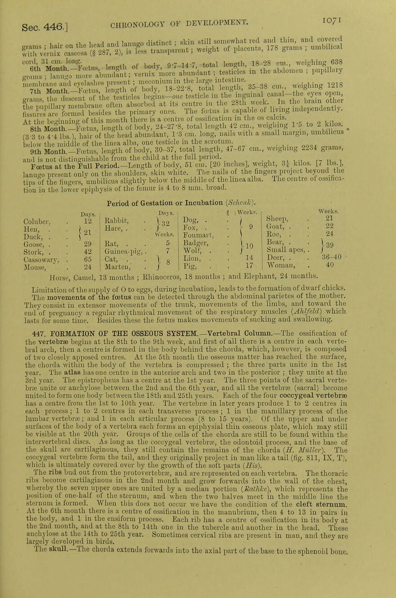 grains ; hair on the we'igMirT^MeutVn^^ ; umbilical with vcrmx cascosa (§ 28/, i), is les.s uauspui-iii., o i coni, 31cm. long. 0.7 ii-7 tnhil length 18-28 cm., weighing 638 feXC L iSrLite ll.e ,.ri.»»y onos. The fet™ is capable ol hv.ng l,ulci»naentl,. At the be-rinning of this month there is a centre ot ossihcation in the os culcis. 8thMoSth._i;'cctus, length of body, 24-27-8, total length 42 cm., ^ ^ (3'3 to 4-4 lbs.), hair of the head abundant, 1-3 cm. long, nails with a .small iiiai„ui, umbilicus below the iniddle of the linea alba, one testicle in the scrotum. _ 9th Month.—Foetus, length of body, 30-37, total length, 4/-6/ cm., weighing 2234 grams, and is not distinguishable from the child at the hill periooh • 1 01 i-me, P7 lUu i Foetus at the Full Period.—Length of body, .ol cm. [20 inches], weight, 3| kilos. [7 lbs.], lanugo present only on the shoulders, skin white. The nails of the fingers project beyond the tips of the fingers, umbilicus slightly below the middle of the liuea alba. The centie ol ossifica- tion in the lower ejiiphysis of the femur is 4 to 8 mm. broad. Period of Gestation or Incubation {Schod-). Coluber, Hen, . Duck, . Goose, . Stork, . Cassowary, Mouse, Days. 12 21 29 42 65 24 Rabbit, Hare, . Rat, . Guiuea-pij Cat, . Marten,’ Days. |.32 Weeks. } Dog, . Fox, . Foumart, Badger, Wolf, . Lion, . Pig, . 9 I Week ( ( }io 14 17 Sheep, Goat, . Roe, . Bear, . Small apes. Deer, . Woman, Weeks. 21 22 24 .39 36-40 40 Horse, .Camel, 13 months ; Rhinoceros, 18 months ; and Elephant, 24 months. Limitation of the supply of 0 to eggs, during incubation, leads to the formation of dwarf chicks. The movements of the foetus can be detected through the abdominal parietes ot the mother. They consist in extensor movements of the trunk, movements of the limbs, and tow'ard the end of pregnancy a regular rhythmical movement of the respiratory muscles [Ahlfeld) which lasts for some time. Besides these the foetus makes movements of sucking and swallowing. 447. FORMATION OF THE OSSEOUS SYSTEM.—Vertebral Column.—The ossification of the vertebrae begins at the 8th to the 9th -week, and first of all there is a centre in each verte- bral arch, then a centre is formed in the body behind the chorda, which, however, is composed of two closely apposed centres. At the 5th month the osseous matter has reached the surface, the chorda within the body of the vertebra is compressed ; the three parts unite in the 1st year. The atlas has one centre in the anterior arch and two in the posterior ; they unite at the 3rd year. The epistropheus has a centre at the 1st year. The three points of the sacral verte- bra: unite or anchylose between the 2nd and the 6th year, and all the vertebrae (sacral) become united to form one body between the 18th and 25th years. Each of the four coccygeal vertebrae has a centre from the 1st to 10th year. The vertebrae in later years produce 1 to 2 centres in each process; 1 to 2 centres in each transverse process ; 1 in the mamillary process of the lumbar vertebrae; and 1 in each articular process (8 to 15 years). Of the upper and under surfaces of the body of a vertebra each forms an epijfiiysial thin osseous plate, which may still be visible at the 20th year. Groups of the. cells of the chorda are still to be found within the intervertebral discs. As long as the coccygeal vertebrae, the odontoid proce.ss, and the base of the skull are cartilaginous, they still contain the remains of the chorda {H. Milllcr). The coccygeal vertebrae form the tail, and they originally project in man like a tail (fig. 811, IX, T), which is ultimately covered over by the growth of the soft parts {His). The ribs bud out from the protovertebree, and are represented on each vertebra. The thoracic ribs become cartilaginous in the 2nd month and grow forwards into the wall of the chest, whereby the seven upper ones are united by a median portion {Mathke), which represents the position ot one-half ot the sternum, and when the two halves meet in the middle line the sternum is tormed. When this does not occur we have the condition of the cleft stemum. At the 6th month there is a centre of ossification in the inanubrium, then 4 to 13 in pairs in the body, and 1 in the ensiform process. Each rib has a centre of ossification in its body at the 2nd month, and at the 8th to 14th one in the tubercle and another in the head. These anchylose at the 14th to 25th year. Sometimes cervical ribs arc present in man, and they are largely developed in birds. The skull.—The chorda extends forwards into the axial part of the base to the sphenoid bone.