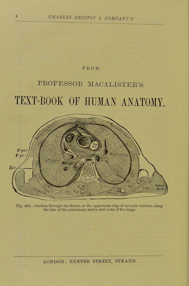 FKOM PEOPESSOR MACALISTEE’S TEXT-BOOK OF HUMAN ANATOMY. Fig. 452.—Section through the thorax at the uppermost edge of seventh vertebra along the line of the pulmonary artery and roots of the lungs.