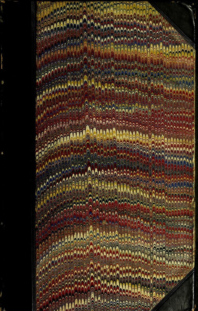 No text description is available for this image