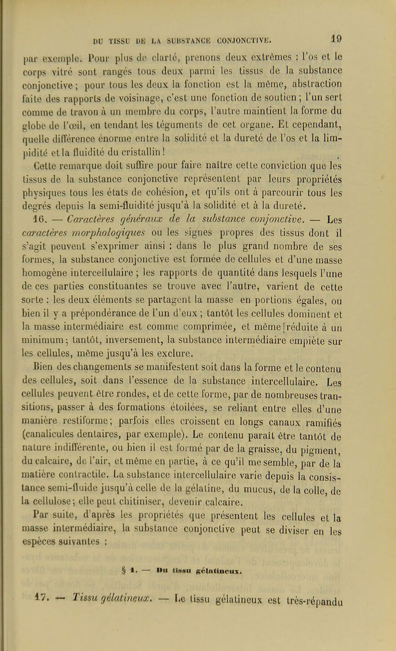 par exemple. Pour plus de clarté, prenons deux extrêmes : l’os et le corps vitré sont rangés tous deux parmi les tissus de la substance conjonctive ; pour tous les deux la fonction est la même, abstraction faite des rapports de voisinage, c’est une fonction de soutien ; l’un sert comme de trayon à un membre du corps, l’autre maintient la forme du globe de l’œil, en tendant les téguments de cet organe. Et cependant, quelle différence énorme entre la solidité et la dureté de l’os et la lim- pidité et la iluidité du cristallin ! Cette remarque doit suffire pour faire naître cette conviction que les tissus de la substance conjonctive représentent par leurs propriétés physiques tous les états de cohésion, et qu’ils ont à parcourir tous les degrés depuis la semi-fluidité jusqu’à la solidité et à la dureté. 16. — Caractères généraux de la substance conjonctive. — Les caractères morphologiques ou les signes propres des tissus dont il s’agit peuvent s’exprimer ainsi : dans le plus grand nombre de ses formes, la substance conjonctive est formée de cellules et d’une masse homogène intercellulaire ; les rapports de quantité dans lesquels l’une de ces parties constituantes se trouve avec l’autre, varient de cette sorte : les deux éléments se partagent la masse en portions égales, ou bien il y a prépondérance de l’un d’eux ; tantôt les cellules dominent et la masse intermédiaire est comme comprimée, et même [réduite à un minimum 5 tantôt, inversement, la substance intermédiaire empiète sur les cellules, même jusqu’à les exclure. Bien des changements se manifestent soit dans la forme et le contenu des cellules, soit dans l’essence de la substance intercellulaire. Les cellules peuvent être rondes, et de cette forme, par de nombreuses tran- sitions, passer à des formations étoilées, se reliant entre elles d’une manière restiforme; parfois elles croissent en longs canaux ramifiés (canalicules dentaires, par exemple). Le contenu paraît être tantôt de nature indifférente, ou bien il est formé par de la graisse, du pigment, du calcaire, de l’air, et même en partie, à ce qu’il me semble, par de la matière contractile. La substance intercellulaire varie depuis la consis- tance semi-fluide jusqu’à celle de la gélatine, du mucus, de la colle, de la cellulose-, elle peut ebitiniser, devenir calcaire. Par suite, d’après les propriétés que présentent les cellules et la masse intermédiaire, la substance conjonctive peut se diviser en les espèces suivantes : § lissu gélatineux. Tissu gélatineux. — Le tissu gélatineux est très-répandu