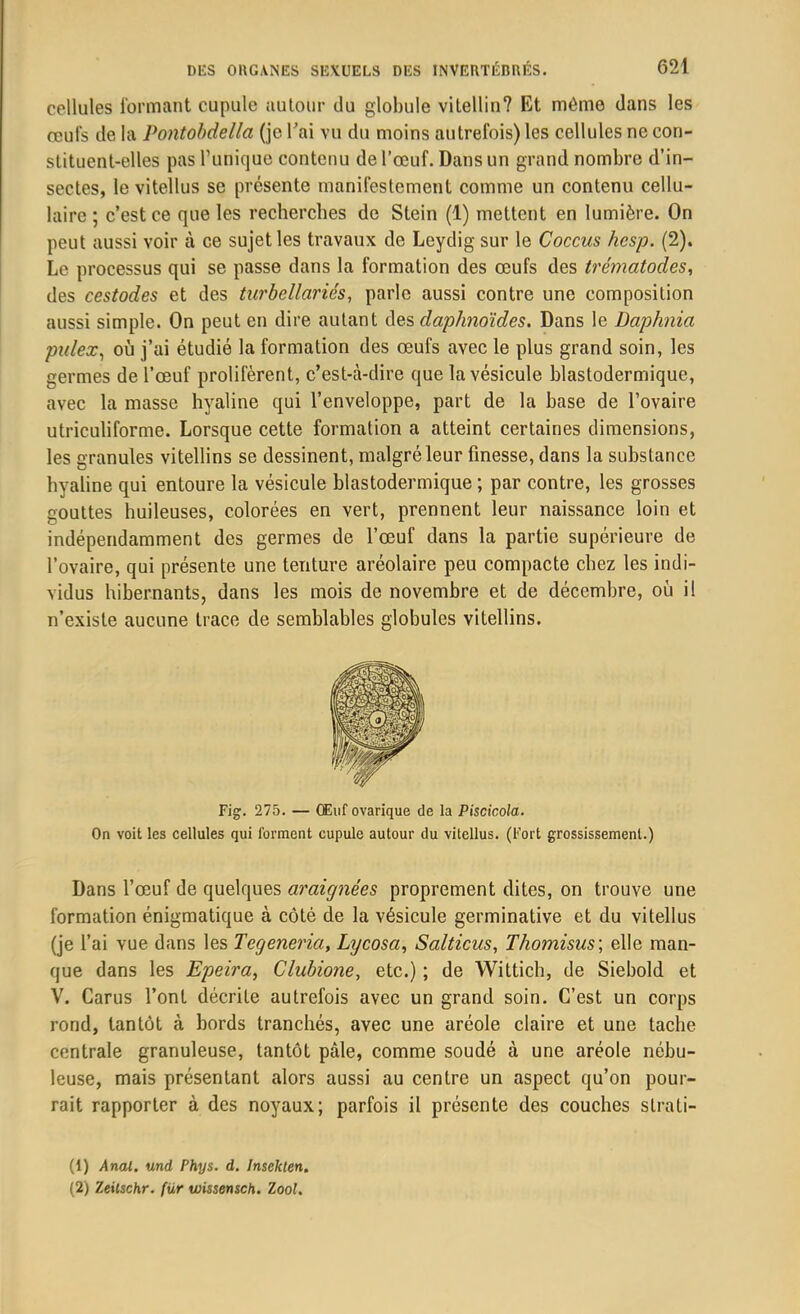 cellules formant cupule autour du globule vitellin? Et même dans les œufs de la Pontobdella (je l'ai vu du moins autrefois) les cellules ne con- stituent-elles pas l’unique contenu de l’œuf. Dans un grand nombre d’in- sectes, le vitellus se présente manifestement comme un contenu cellu- laire ; c’est ce que les recherches de Stein (1) mettent en lumière. On peut aussi voir à ce sujet les travaux de Leydig sur le Coccus hesp. (2). Le processus qui se passe dans la formation des œufs des trématodes, des cestodes et des turbellariés, parle aussi contre une composition aussi simple. On peut en dire autant des daphnoides. Dans le Daphnia pulex, où j’ai étudié la formation des œufs avec le plus grand soin, les germes de l’œuf prolifèrent, c’est-à-dire que la vésicule blastodermique, avec la masse hyaline qui l’enveloppe, part de la base de l’ovaire utriculiforme. Lorsque cette formation a atteint certaines dimensions, les granules vitellins se dessinent, malgré leur finesse, dans la substance hyaline qui entoure la vésicule blastodermique ; par contre, les grosses gouttes huileuses, colorées en vert, prennent leur naissance loin et indépendamment des germes de l’œuf dans la partie supérieure de l’ovaire, qui présente une tenture aréolaire peu compacte chez les indi- vidus hibernants, dans les mois de novembre et de décembre, où i! n’existe aucune trace de semblables globules vitellins. Fig. 275. — Œuf ovarique de la Piscicola. On voit les cellules qui forment cupule autour du vitellus. (Fort grossissement.) Dans l’œuf de quelques araignées proprement dites, on trouve une formation énigmatique à côté de la vésicule germinative et du vitellus (je l’ai vue dans les Tegeneria, Lycosa, Salticus, Thomisus; elle man- que dans les Epeira, Clubione, etc.) ; de Wittich, de Siebold et V. Carus l’ont décrite autrefois avec un grand soin. C’est un corps rond, tantôt à bords tranchés, avec une aréole claire et une tache centrale granuleuse, tantôt pâle, comme soudé à une aréole nébu- leuse, mais présentant alors aussi au centre un aspect qu’on pour- rait rapporter à des noyaux; parfois il présente des couches strati- (1) Anal, und Phys. d. Insekten. (2) Zeilschr. für wissensch. Zool.