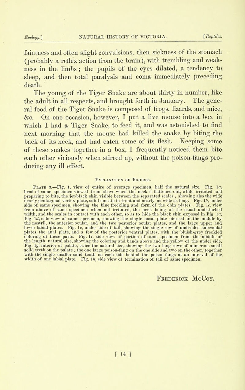 faintness and often slight convulsions, then sickness of the stomach (probably a reflex action from the brain), with trembling and weak- ness in the limbs ; the pupils of the eyes dilated, a tendency to sleep, and then total paralysis and coma immediately preceding death. The young of the Tiger Snake are about thirty in number, like the adult in all respects, and brought forth in January. The gene- ral food of the Tiger Snake is composed of frogs, lizards, and mice, &c. On one occasion, however, I put a live mouse into a box in which I had a Tiger Snake, to feed it, and was astonished to find next morning that the mouse had killed the snake by biting the back of its neck, and had eaten some of its flesh. Keeping some of these snakes together in a box, I frequently noticed them bite each other viciously when stirred up, without the poison-fangs pro- ducing any ill effect. Explanation of Figubes. Plate 3.—Fig. 1, view of entire of average specimen, half the natural size. Fig. la, head of same specimen viewed from above when the neck is flattened out, while irritated and preparing to bite, the jet-black skin visible between the separated scales ; showing also the wide nearly pentagonal vertex plate, sub-truncate in front and nearly as wide as long. Fig. lb, under side of same specimen, showing the blue freckling and form of the chin plates. Fig. lc, view from above of same specimen when not irritated, the neck being of the usual undisturbed width, and the scales in contact with each other, so as to hide the black skin exposed in Fig. la. Fig. Id, side view of same specimen, showing the single nasal plate pierced in the middle by the nostril, the anterior ocular, and the two posterior ocular plates, and the large upper and lower labial plates. Fig. le, under side of tail, showing the single row of undivided subcaudal plates, the anal plate, and a few of the posterior ventral plates, with the bluish-grey freckled coloring of these parts. Fig. If, side view of portion of same specimen from the middle of the length, natural size, showing the coloring and bands above and the yellow of the under side. Fig. ly, interior of palate, twice the natural size, showing the two long rows of numerous small solid teeth on the palate ; the one large poison-fang on the one side and two on the other, together with the single smaller solid tooth on each side behind the poison fangs at an interval of the width of one labial plate. Fig. 1 h, side view of termination of tail of same specimen.