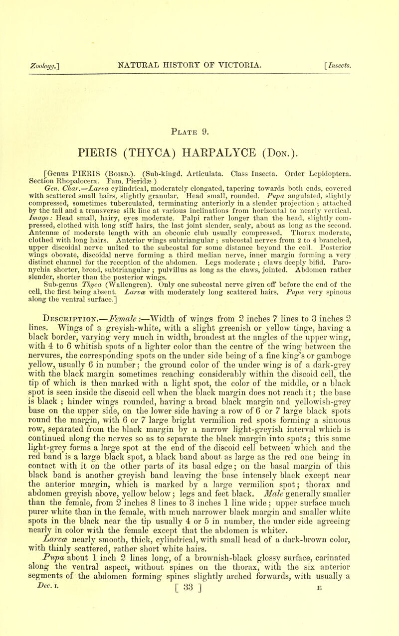 Plate 9. PIERIS (THYCA) HARPALYCE (Don.). [Genus PIERIS (Boisd.). (Sub-kingd. Arfciculata. Class Insecta. Order Lepidoptera. Section Rhopalocera. Ram. Pieridae ) Gen. Char.—Larva cylindrical, moderately elongated, tapering towards both ends, covered with scattered small hairs, slightly granular. Head small, rounded. Pupa angulated, slightly compressed, sometimes tuberculated, terminating anteriorly in a slender projection ; attached by the tail and a transverse silk line at various inclinations from horizontal to nearly vertical. Imago: Head small, hairy, eyes moderate. Palpi rather longer than the head, slightly com- pressed, clothed with long stiff hairs, the last joint slender, scaly, about as long as the second. Antennse of moderate length with an obconic club usually compressed. Thorax moderate, clothed with long hairs. Anterior wings subtriangular ; subcostal nerves from 2 to 4 branched, upper discoidal nerve united to the subcostal for some distance beyond the cell. Posterior wings obovate, discoidal nerve forming a third median nerve, inner margin forming a very distinct channel for the reception of the abdomen. Legs moderate ; claws deeply bifid. Paro- nychia shorter, broad, subtriangular ; pulvillus as long as the claws, jointed. Abdomen rather slender, shorter than the posterior wings. Sub-genus Thyca (Wallengren). Only one subcostal nerve given off before the end of the cell, the first being absent. Larva with moderately long scattered hairs. Pupa very spinous along the ventral surface.] Description.—Female:—Width of wings from 2 inches 7 lines to 3 inches 2 lines. Wings of a greyish-white, with a slight greenish or yellow tinge, having a black border, varying very much in width, broadest at the angles of the upper wing’, with 4 to 6 whitish spots of a lighter color than the centre of the wing between the nervures, the corresponding spots on the under side being of a fine king’s or gamboge yellow, usually 6 in number; tbe ground color of the under wing is of a dark-grey with the black margin sometimes reaching considerably within the discoid cell, the tip of which is then marked with a light spot, the color of the middle, or a black spot is seen inside the discoid cell when the black margin does not reach it; the base is black ; hinder wings rounded, having a broad black margin and yellowish-grey base on the upper side, on the lower side having a row of 6 or 7 large black spots round the margin, with 6 or 7 large bright vermilion red spots forming a sinuous row, separated from the black margin by a narrow light-greyish interval which is continued along the nerves so as to separate the black margin into spots; this same light-grey forms a large spot at the end of the discoid cell between which and the red band is a large black spot, a black band about as large as the red one being in contact with it on the other parts of its basal edge; on the basal margin of this black band is another greyish band leaving the base intensely black except near the anterior margin, which is marked by a large vermilion spot; thorax and abdomen greyish above, yellow below; legs and feet black. Male generally smaller than the female, from 2 inches 8 lines to 3 inches 1 line wide; upper surface much purer white than in the female, with much narrower black margin and smaller white spots in the black near the tip usually 4 or 5 in number, the under side agreeing nearly in color with the female except that the abdomen is whiter. Larvae nearly smooth, thick, cylindrical, with small head of a dark-brown color, with thinly scattered, rather short white hairs. Pupa about 1 inch 2 lines long, of a brownish-black glossy surface, carinated along the ventral aspect, without spines on the thorax, with the six anterior segments of. the abdomen forming spines slightly arched forwards, with usually a