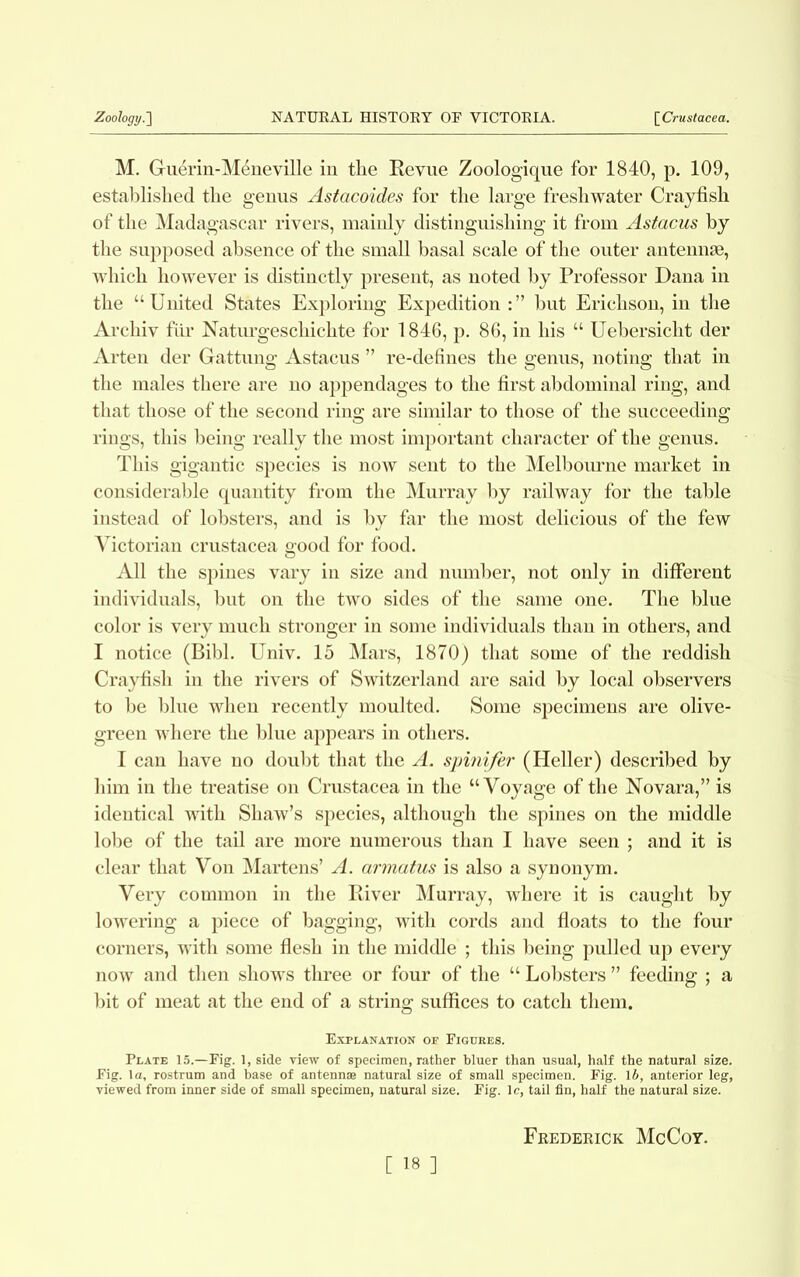 M. Guerin-M4neville in the Revue Zoologique for 1840, p. 109, established the genus Astacoides for the large freshwater Crayfish of the Madagascar rivers, mainly distinguishing it from Astacus by the supposed absence of the small basal scale of the outer antennae, which however is distinctly present, as noted by Professor Dana in the “United States Exploring Expedition but Erichson, in the Archiv fur Naturgeschichte for 1846, p. 86, in his “ Uebersicht der Arten der Gattung Astacus ” re-defines the genus, noting that in the males there are no appendages to the first abdominal ring, and that those of the second ring are similar to those of the succeeding rings, this being really the most important character of the genus. This gigantic species is now sent to the Melbourne market in considerable quantity from the Murray by railway for the table instead of lobsters, and is by far the most delicious of the few Victorian Crustacea good for food. All the spines vary in size and number, not only in different individuals, but on the two sides of the same one. The blue color is very much stronger in some individuals than in others, and I notice (Bibl. Univ. 15 Mars, 1870) that some of the reddish Crayfish in the rivers of Switzerland are said by local observers to be blue when recently moulted. Some specimens are olive- green where the blue appears in others. I can have no doubt that the A. spitii/er (Heller) described by him in the treatise on Crustacea in the “Voyage of the Novara,” is identical with Shaw’s species, although the spines on the middle lobe of the tail are more numerous than I have seen ; and it is clear that Von Martens’ A. armatus is also a synonym. Very common in the River Murray, where it is caught by lowering a piece of bagging, with cords and floats to the four corners, with some flesh in the middle ; this being pulled up every now and then shows three or four of the “ Lobsters ” feeding ; a bit of meat at the end of a string suffices to catch them. Explanation of Figures. Plate 15.—Fig. 1, side view of specimen, rather bluer than usual, half the natural size. Fig. la, rostrum and base of antennae natural size of small specimen. Fig. lb, anterior leg, viewed from inner side of small specimen, natural size. Fig. lc, tail fin, half the natural size. Frederick McCoy.