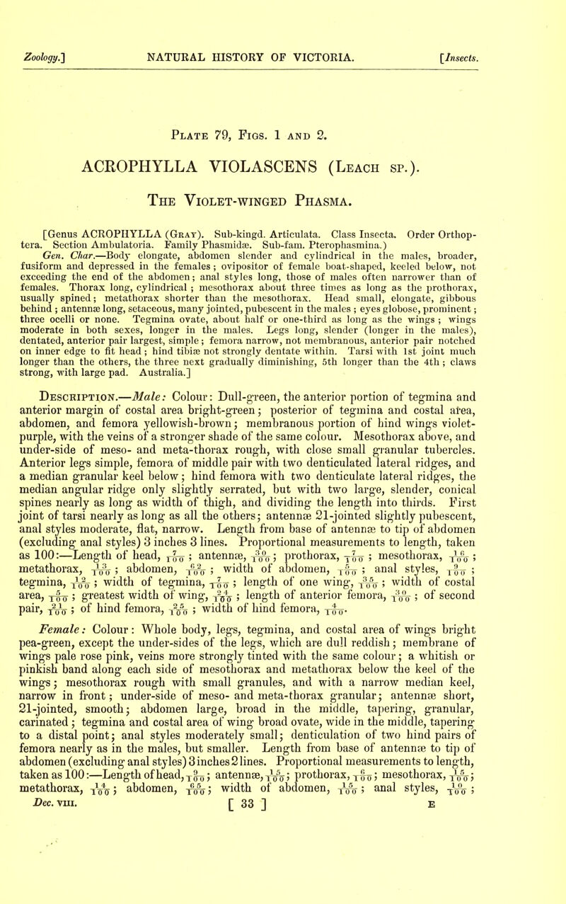 Plate 79, Figs. 1 and 2. ACROPHYLLA VIOLASCENS (Leach sp.). The Violet-winged Phasma. [Genus ACROPHYLLA (Gray). Sub-kingd. Articulata. Class Insecta. Order Orthop- tera. Section Ambulatoria. Family Phasmidae. Sub-fam. Pteropbasmina.) Gen. Char.—Body elongate, abdomen slender and cylindrical in the males, broader, fusiform and depressed in the females; ovipositor of female boat-shaped, keeled below, not exceeding the end of the abdomen; anal styles long, those of males often narrower than of females. Thorax long, cylindrical ; mesothorax about three times as long as the prothorax, usually spined; metathorax shorter than the mesothorax. Head small, elongate, gibbous behind ; antennae long, setaceous, many jointed, pubescent in the males ; eyes globose, prominent; three ocelli or none. Tegmina ovate, about half or one-third as long as the wings ; wings moderate in both sexes, longer in the males. Legs long, slender (longer in the males), dentated, anterior pair largest, simple; femora narrow, not membranous, anterior pair notched on inner edge to fit head ; hind tibiae not strongly dentate within. Tarsi with 1st joint much longer than the others, the three next gradually diminishing, 5th longer than the 4th; claws strong, with large pad. Australia.] Description.—Male: Colour: Dull-g’reen, the anterior portion of tegmina and anterior margin of costal area bright-green; posterior of tegmina and costal area, abdomen, and femora yellowish-brown; membranous portion of hind wings violet- purple, with the veins of a stronger shade of the same colour. Mesothorax above, and under-side of meso- and meta-thorax rough, with close small granular tubercles. Anterior legs simple, femora of middle pair with two denticulated lateral ridges, and a median granular keel below; hind femora with two denticulate lateral ridges, the median angular ridge only slightly serrated, but with two large, slender, conical spines nearly as long as width of thigh, and dividing the length into thirds. First joint of tarsi nearly as long as all the others; antennse 21-jointed slightly pubescent, anal styles moderate, flat, narrow. Length from base of antennae to tip of abdomen (excluding anal styles) 3 inches 3 lines. Proportional measurements to length, taken as 100:—Length of head, ; antennae, ; prothorax, Tgg ; mesothorax, ; metathorax, ; abdomen, ; width of abdomen, x^g ; anal styles, T{J-g ; tegmina, x^-; width of tegmina, -j-gg ; length of one wing, x3^-; width of costal area, -pfg ; greatest width of wing, x25g ; length of anterior femora, x^-; of second pair, Xgg ; of hind femora, x2g% ; width of hind femora, x^g. Female: Colour: Whole body, legs, tegmina, and costal area of wings bright pea-green, except the under-sides of the legs, which are dull reddish; membrane of wings pale rose pink, veins more strongly tinted with the same colour; a whitish or pinkish band along each side of mesothorax and metathorax below the keel of the wings; mesothorax rough with small granules, and with a narrow median keel, narrow in front; under-side of meso- and meta-thorax granular; antennae short, 21-jointed, smooth; abdomen large, broad in the middle, tapering, granular, carinated; tegmina and costal area of wing broad ovate, wide in the middle, tapering to a distal point; anal styles moderately small; denticulation of two hind pairs of femora nearly as in the males, but smaller. Length from base of antennm to tip of abdomen (excluding anal styles) 3 inches 2 lines. Proportional measurements to length, taken as 100:—Length of head, x|gj antennse, Xg5x; prothorax, x§g; mesothorax, ; metathorax, ; abdomen, ; width of abdomen, ; anal styles, x\fx ;