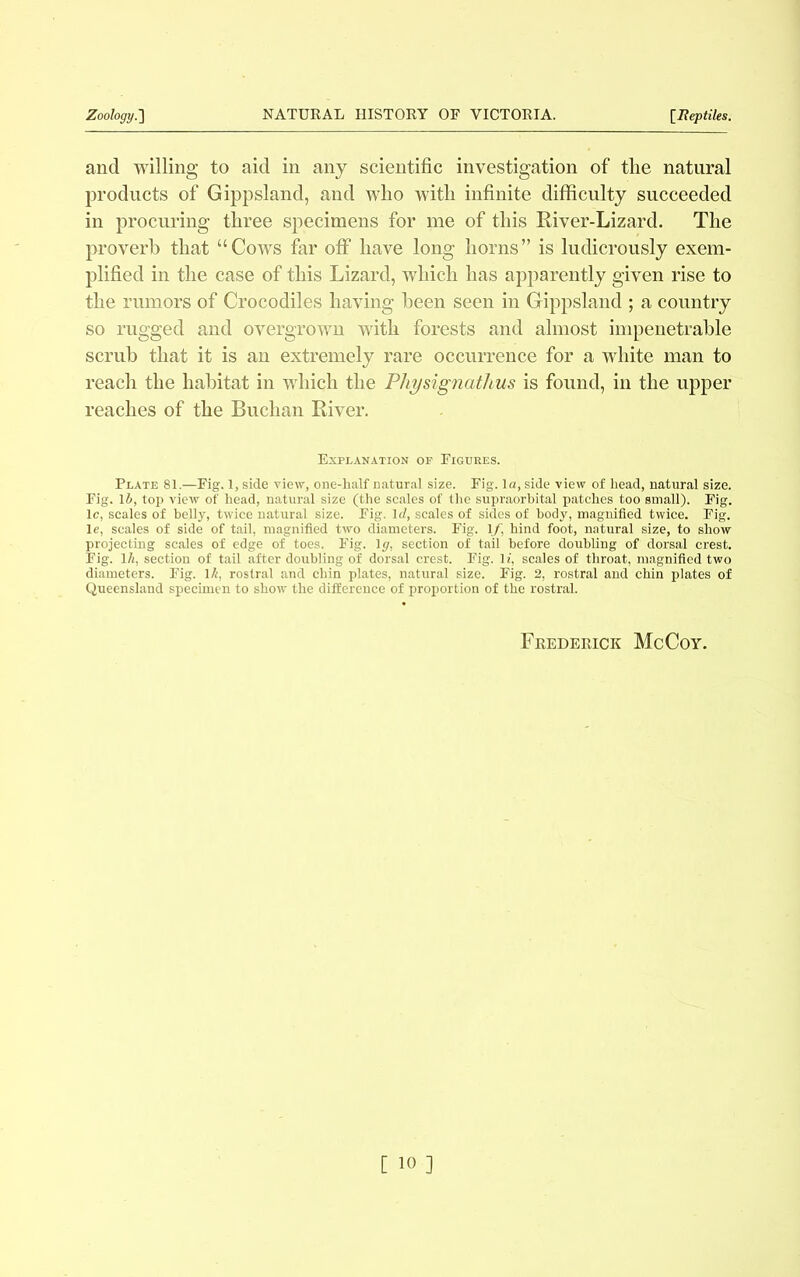 and willing to aid in any scientific investigation of the natural products of Gippsland, and who with infinite difficulty succeeded in procuring three specimens for me of this River-Lizard. The proverb that “Cows far off have long horns” is ludicrously exem- plified in the case of this Lizard, which has apparently given rise to the rumors of Crocodiles having been seen in Gippsland ; a country so rugged and overgrown with forests and almost impenetrable scrub that it is an extremely rare occurrence for a white man to reach the habitat in which the Physignatltus is found, in the upper reaches of the Buchan River. Explanation of Figdees. Plate 81.—Fig. 1, side view, one-half natural size. Fig. la, side view of head, natural size. Fig. 16, top view of head, natural size (the scales of the supraorbital patches too small). Fig. lc, scales of belly, twice natural size. Fig. Id, scales of sides of body, magnified twice. Fig. It', scales of side of tail, magnified two diameters. Fig. If. hind foot, natural size, to show projecting scales of edge of toes. Fig. 1 g, section of tail before doubling of dorsal crest. Fig. 1 h, section of tail after doubling of dorsal crest. Fig. 1?', scales of throat, magnified two diameters. Fig. 1/e, rostral and chin plates, natural size. Fig. 2, rostral and chin plates of Queensland specimen to show the difference of proportion of the rostral. Frederick McCoy.