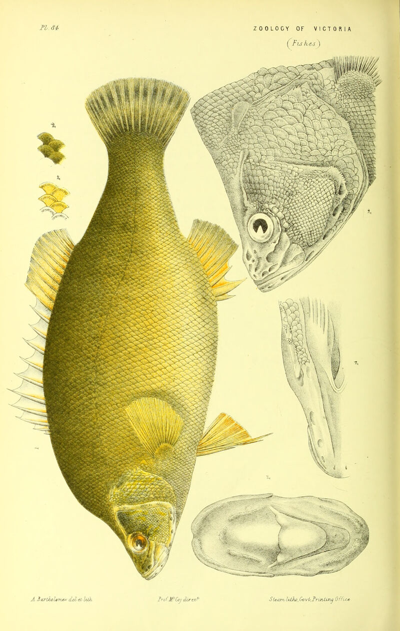 mm Clis hes^) SttaTroliOw^yi/.Trin^ Office. A Jaxtkolamm cLefL etlith/ Irof.MfOjy cfor ext