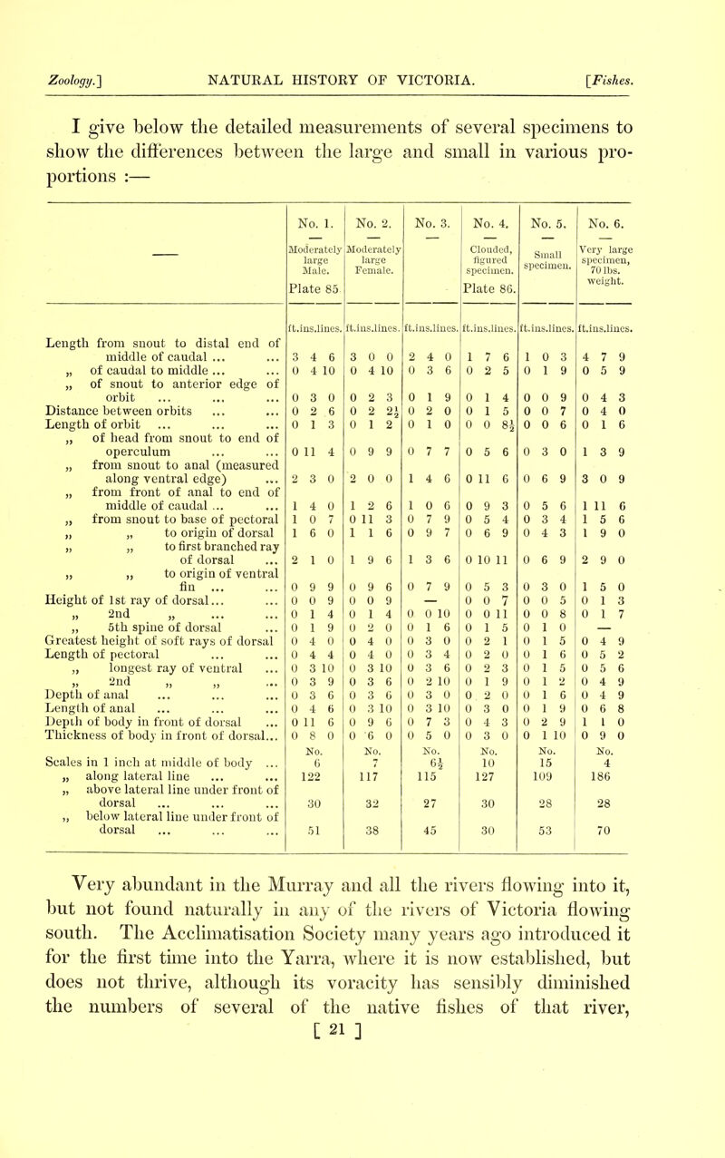 I give below the detailed measurements of several specimens to show the differences between the large and small in various pro- portions :— — No. 1. Moderately large Male. Plate 85. No. 2. Moderately large Female. No. 3. No. 4. Clouded, figured specimen. Plate 86. No. 5. Small specimen. No. 6. Very large specimen, 70 lbs. weight. ft. ns.lines. ft.i ns.lines. ft.i ns.lines. ! ft.ins.lines. ft.ins.lines. ft.ins.lines. Length from snout to distal end of middle of caudal ... 3 4 6 3 0 0 2 4 0 i 7 6 1 0 3 4 7 9 „ of caudal to middle ... 0 4 10 0 4 10 0 3 6 0 2 5 0 1 9 0 5 9 „ of snout to anterior edge of orbit 0 3 0 0 2 3 0 1 9 0 1 4 0 0 9 0 4 3 Distance between orbits 0 2 6 0 2 2 j 0 2 0 0 1 5 0 0 7 0 4 0 Length of orbit 0 1 3 0 1 2 0 1 0 0 0 8J 0 0 6 0 1 6 ,, of head from snout to end of operculum 0 11 4 0 9 9 0 7 7 0 5 6 0 3 0 1 3 9 „ from snout to anal (measured along ventral edge) 2 3 0 2 0 0 1 4 6 0 11 6 0 6 9 3 0 9 „ from front of anal to end of middle of caudal ... 1 4 0 1 2 6 1 0 6 0 9 3 0 5 6 1 11 6 „ from snout to base of pectoral 1 0 7 0 11 3 0 7 9 0 5 4 0 3 4 1 5 6 „ „ to origin of dorsal 1 6 0 1 1 6 0 9 7 0 6 9 0 4 3 1 9 0 „ „ to first branched ray of dorsal 2 1 0 1 9 6 1 3 6 0 10 11 0 6 9 2 9 0 „ „ to origin of ventral fin 0 9 9 0 9 6 0 7 9 0 5 3 0 3 0 1 5 0 Height of 1st ray of dorsal... 0 0 9 0 0 9 — 0 0 7 0 0 5 0 1 3 „ 2nd „ 0 1 4 0 1 4 0. 0 ] 10 0 0 li 0 0 8 0 1 7 „ 5th spine of dorsal 0 1 9 0 2 0 0 1 6 0 1 5 0 1 0 — Greatest height of soft rays of dorsal 0 4 0 0 4 0 0 3 0 0 2 1 0 1 5 0 4 9 Length of pectoral 0 4 4 0 4 0 0 3 4 0 2 0 0 1 6 0 5 2 „ longest ray of ventral 0 3 : L0 0 3 : L0 0 3 6 0 2 3 0 1 5 0 5 6 „ 2nd „ „ 0 3 9 0 3 6 0 10 0 1 9 0 1 2 0 4 9 Depth of anal 0 3 6 0 3 6 0 3 0 0 2 0 0 1 6 0 4 9 Length of anal 0 4 6 0 3: 10 0 3 : L0 0 3 0 0 1 9 0 6 8 Depth of body in front of dorsal 0 11 6 0 9 6 0 7 3 0 4 3 0 2 9 1 1 0 Thickness of body in front of dorsal... 0 8 0 0 '6 0 0 5 0 0 3 0 0 i : 10 0 9 0 No. No. No. No. No. No. Scales in 1 inch at middle of body ... 6 7 64 10 15 4 „ along lateral line 122 117 115 127 109 186 „ above lateral line under front of dorsal 30 32 27 30 28 28 „ below lateral line under front of dorsal 51 38 45 30 53 70 Very abundant in the Murray and all the rivers flowing into it, but not found naturally in any of the rivers of Victoria flowing south. The Acclimatisation Society many years ago introduced it for the first time into the Yarra, where it is now established, but does not thrive, although its voracity has sensibly diminished the numbers of several of the native fishes of that river,