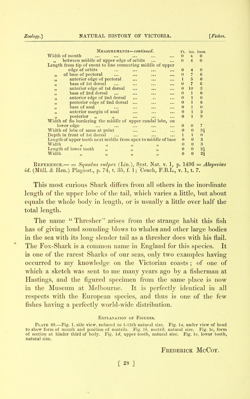 Measurements— continued. Width of mouth „ between middle of upper edge of orbits Length from tip of snout to line connecting middle of uppei edge of orbits of base of pectoral anterior edge of pectoral base of 1st dorsal anterior edge of 1st dorsal base of 2nd dorsal anterior edge of 2nd dorsal posterior edge of 2nd dorsal ... base of anal anterior margin of anal posterior „ „ Width of flu bordering the middle of upper caudal lobe, on lower edge Width of lobe of same at point Depth in front of 1st dorsal Length of upper tooth next middle from apex to middle of base Width Length of lower tooth „ „ „ Width Ft. ins. lines. 0 4 0 0 4 0 0 4 0 0 7 6 1 5 0 0 7 6 0 10 3 0 1 0 0 1 0 0 16 0 1 0 0 1 2 0 1 9 0 0 7 0 0 3± 1 1 0 0 0 3 0 0 3 0 0 2j 0 0 2J Reference.— = Squalus vulpes (Lin.), Syst. Nat. v. 1, p. 1496 = Alopecias id. (Mull. & Hen.) Plagiost., p. 74, t. 35, f. 1; Couch, F.B.L., v. 1, t. 7. This most curious Shark differs from all others in the inordinate length of the upper lobe of the tail, which varies a little, hut about equals the whole body in length, or is usually a little over half the total length. The name “Thresher” arises from the strange habit this fish has of giving loud sounding blows to whales and other large bodies in the sea with its long slender tail as a thresher does with his flail. The Fox-Shark is a common name in England for this species. It is one of the rarest Sharks of our seas, only two examples having occurred to my knowledge on the Victorian coasts ; of one of which a sketch was sent to me many years ago by a fisherman at H astings, and the figured specimen from the same place is now in the Museum at Melbourne. It is perfectly identical in all respects with the European species, and thus is one of the few fishes having a perfectly world-wide distribution. Explanation of Figures. Plate 88.—Fig. 1, side view, reduced to 1-15th natural size. Fig. la, under view of head to show form of mouth and position of nostrils. Fig. lb, nostril, natural size. Fig. lc, form of section at hinder third of body. Fig. lrf, upper tooth, natural size. Fig. le, lower tooth, natural size. Frederick McCoy. [ 28 ]