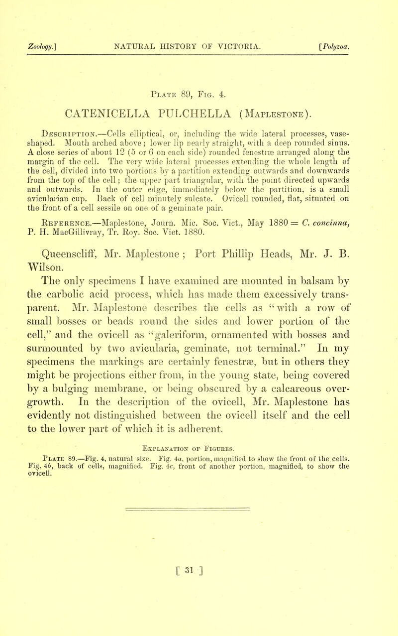 Plate 89, Fig. 4. CATENICELLA PULCHELLA (Maplestone). Description.—Cells elliptical, or, including- the wide lateral processes, vase- shaped. Mouth arched above; lower lip nearly straight., with a deep rounded sinus. A close series of about 12 (5 or 6 on each side) rounded fenestrse arranged along the margin of the cell. The very wide lateral processes.extending the whole length of the cell, divided into two portions by a partition extending outwards and downwards from the top of the cell; the upper part triangular, with the point directed upwards and outwards. In the outer edge, immediately below the partition, is a small avicularian cup. Bach of cell minutely sulcate. Ovicell rounded, flat, situated on the front of a cell sessile on one of a geminate pair. Reference.—Maplestone, Journ. Mic. Soc. Viet., May 1880 = C. concinna, P. H. MacGillivray, Tr. Roy. Soc. Viet. 1880. Queenscliff, Mr. Maplestone ; Port Phillip Heads, Mr. J. B. Wilson. The only specimens I have examined are mounted in balsam by the carbolic acid process, which has made them excessively trans- parent. Mr. Maplestone describes the cells as “with a row of small bosses or beads round the sides and lower portion of the cell,” and the ovicell as “galeriform, ornamented with bosses and surmounted by two avicularia, geminate, not terminal.” In my specimens the markings are certainly fenestras, but in others they might be projections either from, in the young state, being covered by a bulging membrane, or being obscured by a calcareous over- growth. In the description of the ovicell, Mr. Maplestone has evidently not distinguished between the ovicell itself and the cell to the lower part of which it is adherent. Explanation of Figures. Plate 89.—Fig. 4, natural size. Fig. 4a, portion, magnified to show the front of the cells. Fig. 4b, back of cells, magnified. Fig. 4e, front of another portion, magnified, to show the ovicell.