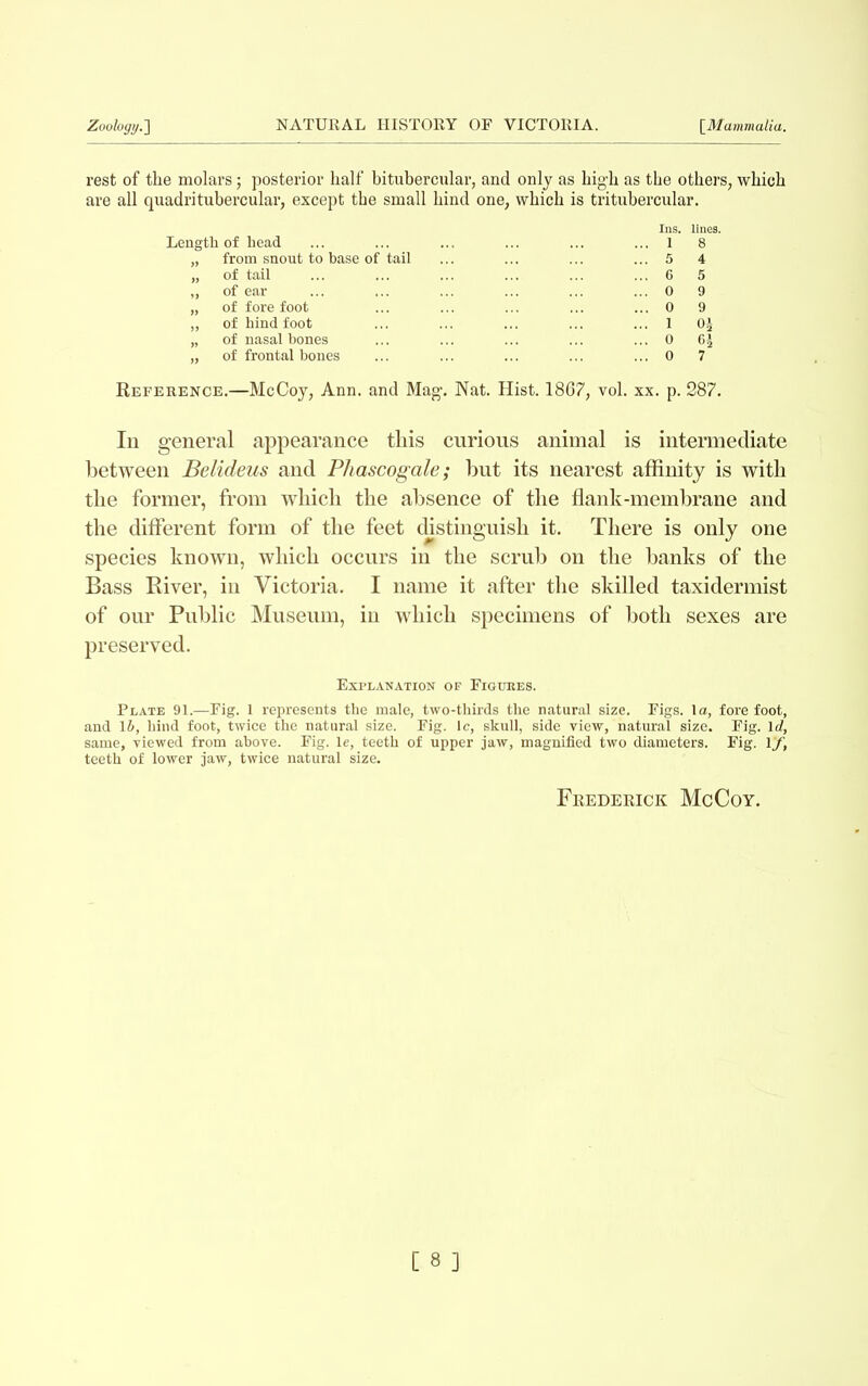 rest of the molars; posterior half bitubercular, and only as high as the others, which are all quadritubercular, except the small hind one, which is tritubercular. Ins. lines. Length of head ... ... ... ... ... ... I 8 „ from snout to base of tail ... ... ... ... 5 4 „ of tail ... ... ... ... ... ... 6 5 ,, of ear ... ... ... ... ... ... 0 9 „ of fore foot ... ... ... ... ... 0 9 „ of hind foot ... ... ... ... ... 1 „ of nasal bones ... ... ... ... ... 0 6£ „ of frontal bones ... ... ... ... ... 0 7 Reference.—McCoy, Ann. and Mag. Nat. Hist. 1867, vol. xx. p. 287. In general appearance this curious animal is intermediate between Belideus and Phascogale; but its nearest affinity is with the former, from which the absence of the flank-membrane and the different form of the feet distinguish it. There is only one species known, which occurs in the scrub on the banks of the Bass River, in Victoria. I name it after the skilled taxidermist of our Public Museum, in which specimens of both sexes are preserved. Explanation of Figures. Plate 91.—Fig. 1 represents the male, two-thirds the natural size. Figs. 1 a, fore foot, and 1 b, hind foot, twice the natural size. Fig. lc, skull, side view, natural size. Fig. Id, same, viewed from above. Fig. le, teeth of upper jaw, magnified two diameters. Fig. Yf, teeth of lower jaw, twice natural size. Frederick McCoy.