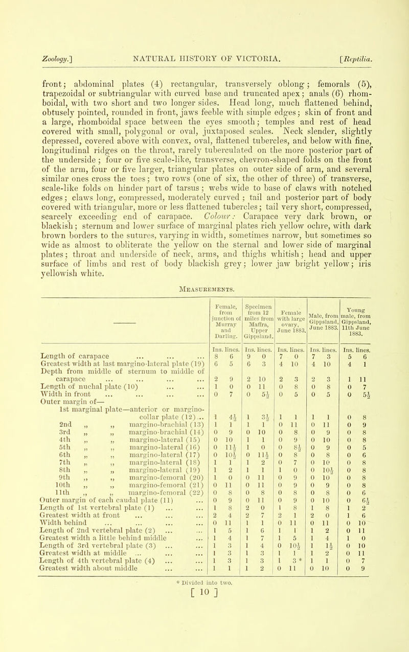front; abdominal plates (4) rectangular, transversely oblong; femorals (5), trapezoidal or subtriangular with curved base and truncated apex; anals (6) rhom- boidal, with two short and two longer sides. Head long, much flattened behind, obtusely pointed, rounded in front, jaws feeble with simple edges; skin of front and a large, rhomboidal space between the eyes smooth; temples and rest of head covered with small, polygonal or oval, juxtaposed scales. Neck slender, slightly depressed, covered above with convex, oval, flattened tubercles, and below with fine, longitudinal ridges on the throat, rarely tuberculated on the more posterior part of the underside ; four or five scale-like, transverse, chevron-shaped folds on the front of the arm, four or five larger, triangular plates on outer side of arm, and several similar ones cross the toes; two rows (one of six, the other of three) of transverse, scale-like folds on hinder part of tarsus; webs wide to base of claws with notched edges; claws long, compressed, moderately curved ; tail and posterior part of body covered with triangular, more or less flattened tubercles; tail very short, compressed, scarcely exceeding end of carapace. Colour: Carapace very dark brown, or blackish; sternum and lower surface of marginal plates rich yellow ochre, with dark brown borders to the sutures, varying in width, sometimes narrow, but sometimes so wide as almost to obliterate the yellow on the sternal and lower side of marginal plates; throat and underside of neck, arms, and thighs whitish; head and upper surface of limbs and rest of body blackish grey; lower jaw bright yellow; iris yellowish white. Measurements. — Female, from junction of Murray and Darling. Specimen from 12 miles from Maffra, Upper Gippsland. Female with large ovary, June 1883. Male, from Gippsland, June 1883. Young male, from Gippsland, 11th June 1883. Ins. lines. Ins. lines. Ins. lines. Ins. lines. Ins. lines. Length of carapace 8 6 9 0 7 0 7 3 5 6 Greatest width at last margino-lateral plate (19) 6 5 6 3 4 10 4 10 4 1 Depth from middle of sternum to middle of carapace 2 9 2 10 2 3 2 3 1 11 Length of nuchal plate (10) 1 0 0 11 0 8 0 8 0 7 Width in front 0 7 0 0 5 0 5 0 54 Outer margin of— 1st marginal plate—anterior or margino- collar plate (12)... •1 ji 1 34 , 1 1 1 1 0 8 2nd „ „ margino-brachial (13) 1 1 1 0 11 0 11 0 9 3rd „ „ margino-brachial (14) 0 9 0 10 0 8 0 9 0 8 4th „ „ margino-lateral (15) 0 10 1 1 0 9 0 10 0 8 5th „ „ margino-lateral (16) 0 114 1 0 0 84 0 9 0 5 6th „ „ margino-lateral (17) 0 104 0 114 0 8 0 8 0 6 7th „ „ margino-lateral (18) 1 1 1 2 0 7 0 10 0 8 8th „ „ margino-lateral (19) 1 2 1 1 1 0 0 104 0 8 9th „ „ margino-femoral (20) 1 0 0 11 0 9 0 10 0 8 10th „ „ margino-femoral (21) 0 11 0 11 0 9 0 9 0 8 11th „ „ margino-femoral (22) 0 8 0 8 0 8 0 8 0 6 Outer margin of each caudal plate (11) 0 9 0 11 0 9 0 10 0 64 Length of 1st vertebral plate (1) 1 8 2 0 1 8 1 8 1 2 Greatest width at front 2 4 2 7 2 1 2 0 1 6 Width behind 0 11 1 1 0 11 0 11 0 10 Length of 2nd vertebral plate (2) 1 5 1 6 1 1 1 2 0 11 Greatest width a little behind middle 1 4 1 7 1 5 1 4 1 0 Length of 3rd vertebral plate (3) ... 1 3 1 4 0 104 1 1 14 0 10 Greatest width at middle ... 1 3 1 3 1 1 2 0 11 Length of 4th vertebral plate (4) 1 3 1 3 1 3 * 1 1 0 7 Greatest width about middle ... ... 1 1 1 1 2 0 11 0 10 0 9 * Divided into two.