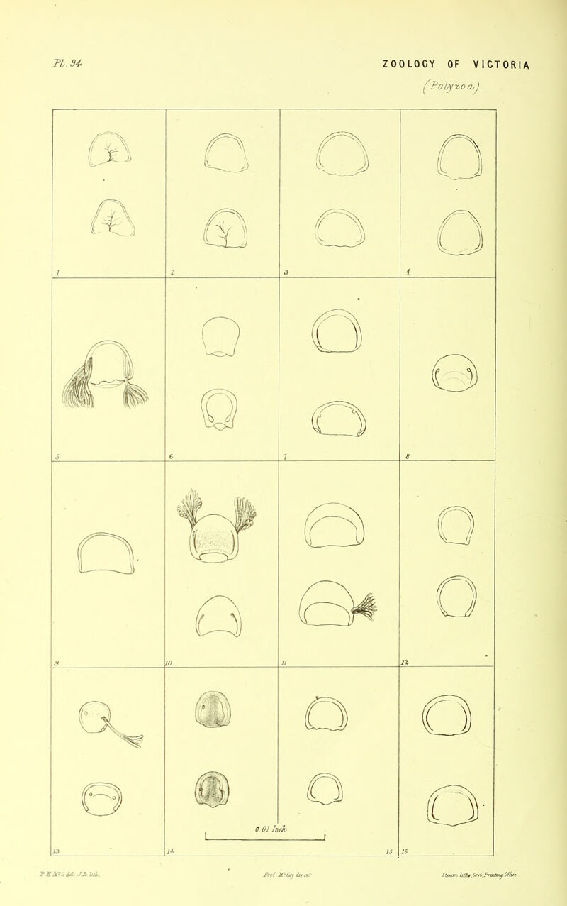 UA. Frof.I&Coj tbaexi Steam, lilhg.bM.Pnntbuj OffU*.