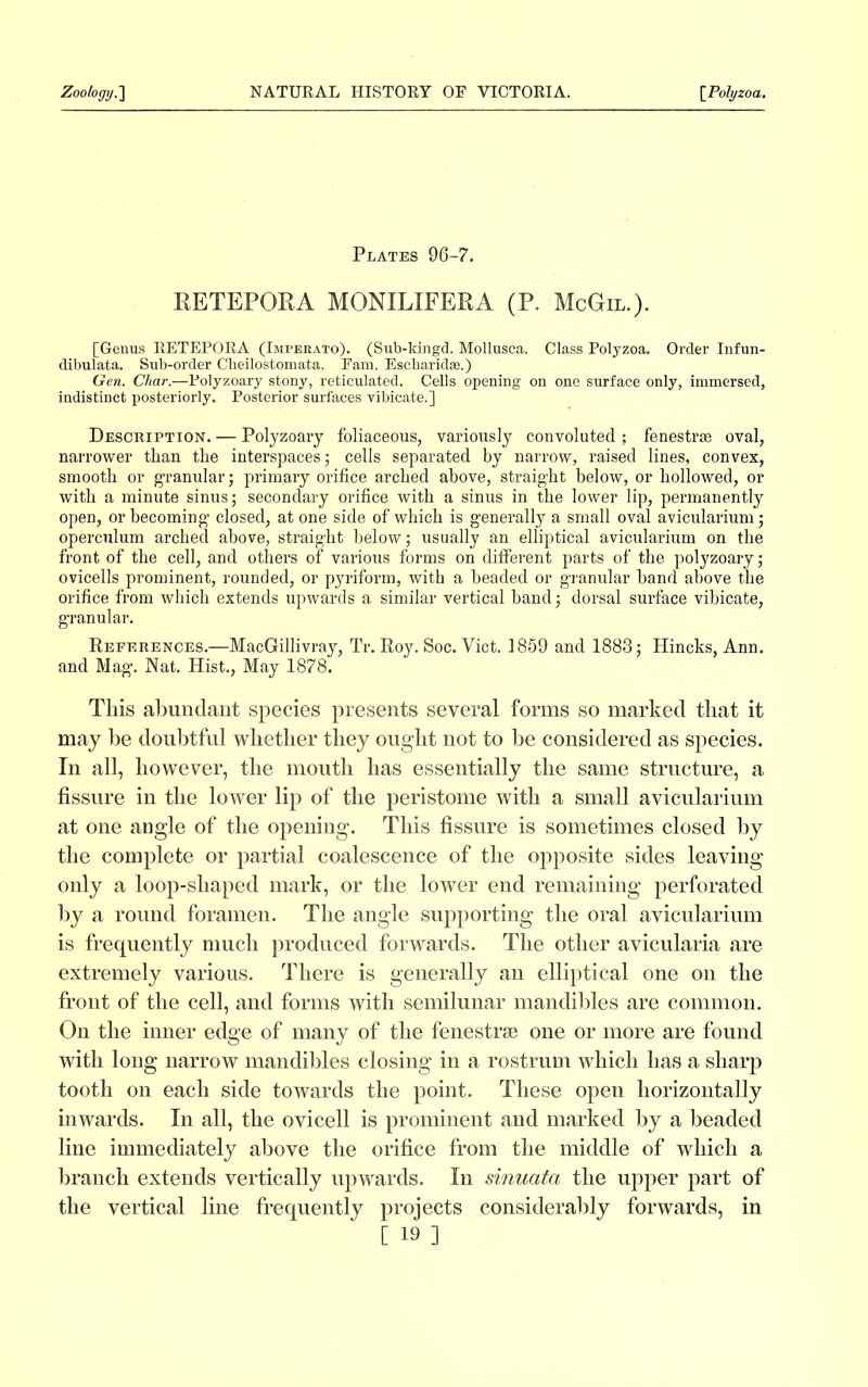 Plates 96-7. RETEPORA MONILIFERA (P. McGil.). [Genus RETEPORA (Imperato). (Sub-ldngd. Mollusca. Class Polyzoa. Order Infun- dibulata. Sub-order Cbeilostomata. Earn. Escbaridae.) Gen. Char.—Polyzoary stony, reticulated. Cells opening on one surface only, immersed, indistinct posteriorly. Posterior surfaces yibicate.] Description. — Polyzoary foliaceous, variously convoluted ; fenestrae oval, narrower than the interspaces; cells separated by narrow, raised lines, convex, smooth or granular; primary orifice arched above, straight below, or hollowed, or with a minute sinus; secondary orifice with a sinus in the lower lip, permanently open, or becoming closed, at one side of which is generally a small oval avicularium; operculum arched above, straight below; usually an elliptical avicularium on the front of the cell, and others of various forms on different parts of the polyzoary; ovicells prominent, rounded, or pyriform, with a headed or granular band above the orifice from which extends upwards a similar vertical band; dorsal surface vibicate, granular. References.—MacGillivray, Tr. Roy. Soc. Yict. 1859 and 1883; Hincks, Ann. and Mag. Nat. Hist., May 1878. This abundant species presents several forms so marked that it may he doubtful whether they ought not to be considered as species. In all, however, the mouth has essentially the same structure, a fissure in the lower lip of the peristome with a small avicularium at one angle of the opening. This fissure is sometimes closed by the complete or partial coalescence of the opposite sides leaving only a loop-shaped mark, or the lower end remaining perforated by a round foramen. The angle supporting the oral avicularium is frequently much produced forwards. The other avicularia are extremely various. There is generally an elliptical one on the front of the cell, and forms with semilunar mandibles are common. On the inner edge of many of the fenestrse one or more are found with long narrow mandibles closing in a rostrum which has a sharp tooth on each side towards the point. These open horizontally inwards. In all, the ovicell is prominent and marked by a beaded line immediately above the orifice from the middle of which a branch extends vertically upwards. In sinuata the upper part of the vertical line frequently projects considerably forwards, in