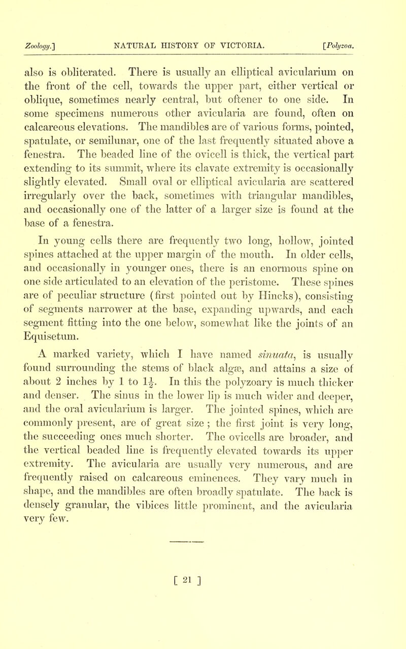 also is obliterated. There is usually an elliptical avicularium on the front of the cell, towards the upper part, either vertical or oblique, sometimes nearly central, but oftener to one side. In some specimens numerous other avicularia are found, often on calcareous elevations. The mandibles are of various forms, pointed, spatulate, or semilunar, one of the last frequently situated above a fenestra. The beaded line of the ovicell is thick, the vertical part extending to its summit, where its clavate extremity is occasionally slightly elevated. Small oval or elliptical avicularia are scattered irregularly over the back, sometimes with triangular mandibles, and occasionally one of the latter of a larger size is found at the base of a fenestra. In young cells there are frequently two long, hollow, jointed spines attached at the upper margin of the mouth. In older cells, and occasionally in younger ones, there is an enormous spine on one side articulated to an elevation of the peristome. These spines are of peculiar structure (first pointed out by Hincks), consisting of segments narrower at the base, expanding upwards, and each segment fitting into the one below, somewhat like the joints of an Equisetum. A marked variety, which I have named sinuata, is usually found surrounding the stems of black algse, and attains a size of about 2 inches by 1 to 1^. In this the polyzoary is much thicker and denser. The sinus in the lower lip is much wider and deeper, and the oral avicularium is larger. The jointed spines, which are commonly present, are of great size ; the first joint is very long, the succeeding ones much shorter. The ovicells are broader, and the vertical beaded line is frequently elevated towards its upper extremity. The avicularia are usually very numerous, and are frequently raised on calcareous eminences. They vary much in shape, and the mandibles are often broadly spatulate. The back is densely granular, the vibices little prominent, and the avicularia very few.