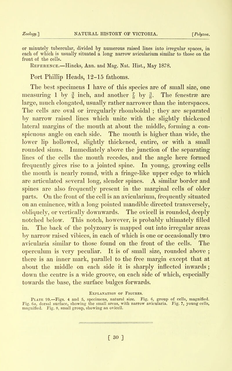 Zoology.] NATURAL HISTORY OF VICTORIA. [Polyzoa. or minutely tubercular, divided by numerous raised lines into irregular spaces, in each of which is usually situated a long narrow avicularium similar to those on the front of the cells. Reference.—Hincks, Ann. and Mag. Nat. Hist., May 1878. Port Phillip Heads, 12-15 fathoms. The best specimens I have of this species are of small size, one measuring 1 by f inch, and another § by f. The fenestrse are large, much elongated, usually rather narrower than the interspaces. The cells are oval or irregularly rhomboidal ; they are separated by narrow raised lines which unite with the slightly thickened lateral margins of the mouth at about the middle, forming a con- spicuous angle on each side. The mouth is higher than wide, the lower lip hollowed, slightly thickened, entire, or with a small rounded sinus. Immediately above the junction of the separating lines of the cells the mouth recedes, and the angle here formed frequently gives rise to a jointed spine. In young, growing cells the mouth is nearly round, with a fringe-like upper edge to which are articulated several long, slender spines. A similar border and spines are also frequently present in the marginal cells of older parts. On the front of the cell is an avicularium, frequently situated on an eminence, with a long pointed mandible directed transversely, obliquely, or vertically downwards. The ovicell is rounded, deeply notched below. This notch, however, is probably ultimately filled in. The back of the polyzoary is mapped out into irregular areas by narrow raised vibices, in each of which is one or occasionally two avicularia similar to those found on the front of the cells. The operculum is very peculiar. It is of small size, rounded above ; there is an inner mark, parallel to the free margin except that at about the middle on each side it is sharply inflected inwards ; down the centre is a wide groove, on each side of which, especially towards the base, the surface bulges forwards. Explanation of Figures. Plate 99.—Figs. 4 and 5, specimens, natural size. Fig. 6, group of cells, magnified. Fig. 6a, dorsal surface, showing the small areas, with narrow avicularia. Fig. 7, young cells, magnified. Fig. 8, small group, showing an ovicell.
