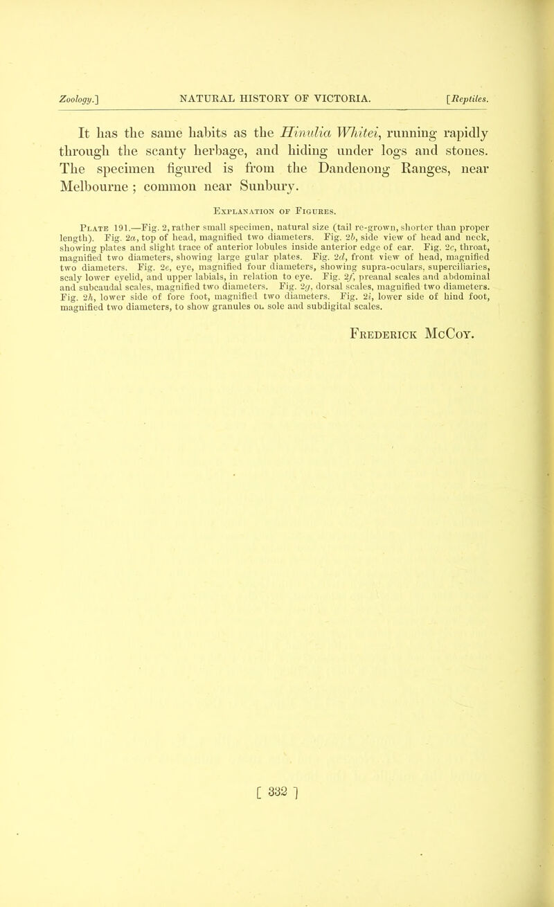 It lias the same habits as the Hinulia Whitei, running rapidly through the scanty herbage, and hiding under logs and stones. The specimen figured is from the Dandenong Ranges, near Melbourne ; common near Sunbury. Explanation of Figures. Plate 191.—Fig. 2, rather small specimen, natural size (tail re-grown, shorter than proper length). Fig. 2a, top of head, magnified two diameters. Fig. 2b, side view of head and neck, showing plates and slight trace of anterior lobules inside anterior edge of ear. Fig. 2c, throat, magnified two diameters, showing large gular plates. Fig. 2d, front view of head, magnified two diameters. Fig. 2e, eye, magnified four diameters, showing supra-oculars, superciliaries, scaly lower eyelid, and upper labials, in relation to eye. Fig. 2f, preanal scales and abdominal and subcaudal scales, magnified two diameters. Fig. 2g, dorsal scales, magnified two diameters. Fig. 2h, lower side of fore foot, magnified two diameters. Fig. 2i, lower side of hind foot, magnified two diameters, to show granules ol. sole and subdigital scales. Frederick McCoy.