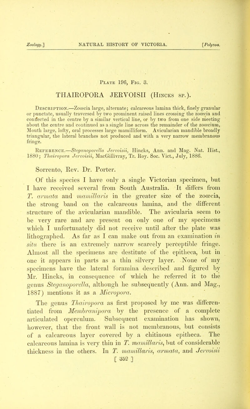 Plate 196, Fig. 3. THAIROPORA JERVOISII (Hincks sp.). Description.—Zooecia large, alternate; calcareous lamina thick, finely granular or punctate, usually traversed by two prominent raised lines crossing- the zooecia and connected in the centre by a similar vertical line, or by two from one side meeting about the centre and continued as a single line across the remainder of the zooecium, Mouth larg-e, lofty, oral processes larg-e mamilliform. Avicularian mandible broadly triangular, the lateral branches not produced and with a very narrow membranous fringe. Reference.—Steganoporella Jervoisii, Hincks, Ann. and Mag. Nat. Hist., 1880; Thairopora Jervoisii, MacGillivray, Tr. Roy. Soc. Vict., July, 1886. Sorrento, Rev. Dr. Porter. Of this species I have only a single Victorian specimen, but I have received several from South Australia. It differs from T. armata and mamillaris in the greater size of the zooecia, the strong band on the calcareous lamina, and the different structure of the avicularian mandible. The avicularia seem to be very rare and are present on only one of my specimens which I unfortunately did not receive until after the plate was lithographed. As far as I can make out from an examination in situ there is an extremely narrow scarcely perceptible fringe. Almost all the specimens are destitute of the epitheca, but in one it appears in parts as a thin silvery layer. None of my specimens have the lateral foramina described and figured by Mr. Hincks, in consequence of which he referred it to the genus Steganoporella. although he subsequently (Ann. and Mag., 1887) mentions it as a Micropora. The genus Thairopora as first proposed by me was differen- tiated from Membranipora by the presence of a complete articulated operculum. Subsequent examination has shown, however, that the front wall is not membranous, but consists of a calcareous layer covered by a chitinous epitheca. The calcareous lamina is very thin in T. mamillaris, but of considerable thickness in the others. In T. mamillaris, armata, and Jervoisii [ ii52 ]