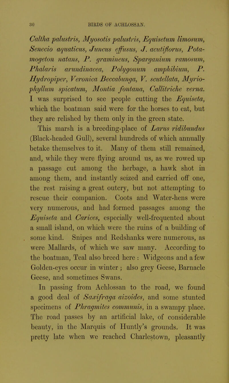 Caltha palustris, Myosotis palustris, Equisetum limosum, Senecio aquaticus, Juncus effusus, J. acutiflorus, Pota- mogeton natans, P. gramineus, Sparganium ramosum, Phalaris cirundinacea, Polygonum amphibium, P. Ilydropiper, Veronica Beccabunga, V. scutellata, Myrio- pltyllum spicatum, Montia fontana, Callitriche verna. I was surprised to see people cutting the Equiseta, which the boatman said were for the horses to eat, but they are relished by them only in the green state. This marsh is a breeding-place of Larus ridibundus (Black-lieaded Gull), several hundreds of which annually betake themselves to it. Many of them still remained, and, while they were flying around us, as we rowed up a passage cut among the herbage, a hawk shot in among them, and instantly seized and carried off one, the rest raising a great outcry, but not attempting to rescue their companion. Coots and Water-hens were very numerous, and had formed passages among the Equiseta and Carices, especially well-frequented about a small island, on which were the ruins of a building of . some kind. Snipes and Redshanks were numerous, as were Mallards, of which we saw many. According to the boatman, Teal also breed here : Widgeons and a few Golden-eyes occur in winter ; also grey Geese, Barnacle Geese, and sometimes Swans. In passing from Achlossan to the road, we found a good deal of Saxifraga aizoides, and some stunted specimens of Phragmites communis, in a swampy place. The road passes by an artificial lake, of considerable beauty, in the Marquis of Huntly’s grounds. It was pretty late when we reached Charlestown, pleasantly