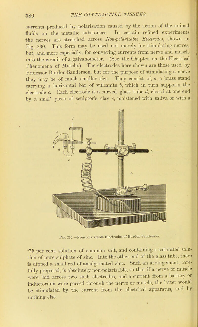 currents produced by polarization caused by the action of the animal fluids on the metallic substances. In certain refined experiments the nerves are stretched across Non-polarizable Electrodes, shown in Fig. 230. This form may be used not merely for stimulating nerves, but, and more especially, for conveying currents from nerve and muscle into the circuit of a galvanometer. (See the Chapter on the Electrical Phenomena of Muscle.) The electrodes here shown are those used by Professor Burdon-Sanderson, but for the purpose of stimulating a nerve they may be of much smaller size. They consist of, a, a brass stand carrying a horizontal bar of vulcanite b, which in turn supports the electrode c. Each electrode is a curved glass tube d, closed at one end by a smaT piece of sculptor’s clay e, moistened with saliva or with a Fig. 230.—Non-polarizable Electrodes of Burdon-Sanderson. 75 per cent, solution of common salt, and containing a saturated solu- tion of pure sulphate of zinc. Into the other end of the glass tube, there is dipped a small rod of amalgamated zinc. Such an arrangement, care- fully prepared, is absolutely non-polarizable, so that if a nerve or muscle were laid across two such electrodes, and a current from a battery or inductorium were passed through the nerve or muscle, the latter would be stimulated by the current from the electrical apparatus, and by nothing else.