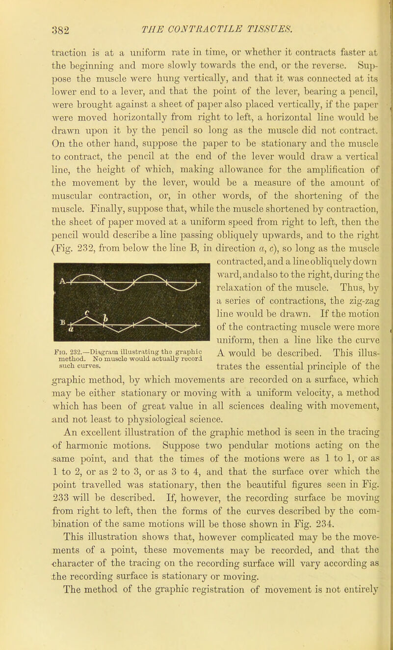 382 THE CONTRACTILE TISSUES. traction is at a uniform rate in time, or whether it contracts faster at the beginning and more slowly towards the end, or the reverse. Sup- pose the muscle were hung vertically, and that it was connected at its lower end to a lever, and that the point of the lever, bearing a pencil, were brought against a sheet of paper also placed vertically, if the paper' | were moved horizontally from right to left, a horizontal line would he drawn upon it by the pencil so long as the muscle did not contract. On the other hand, suppose the paper to be stationary and the muscle to contract, the pencil at the end of the lever would draw a vertical line, the height of which, making allowance for the amplification of the movement by the lever, would be a measure of the amount of muscular contraction, or, in other words, of the shortening of the muscle. Finally, suppose that, while the muscle shortened by contraction, the sheet of paper moved at a uniform speed from right to left, then the pencil would describe a line passing obliquely upwards, and to the right (Fig. 232, from below the line B, in direction a, c), so long as the muscle contracted, and a line obliquely down ward, and also to the right, during the relaxation of the muscle. Thus, by a series of contractions, the zig-zag line would be drawn. If the motion of the contracting muscle were more uniform, then a line like the curve A would be described. This illus- trates the essential principle of the graphic method, by which movements are recorded on a surface, which may be either stationary or moving with a uniform velocity, a method which has been of great value in all sciences dealing with movement, and not least to physiological science. An excellent illustration of the graphic method is seen in the tracing of harmonic motions. Suppose two pendular motions acting on the same point, and that the times of the motions were as 1 to 1, or as 1 to 2, or as 2 to 3, or as 3 to 4, and that the surface over which the point travelled was stationary, then the beautiful figures seen in Fig. 233 will be described. If, however, the recording surface be moving from right to left, then the forms of the curves described by the com- bination of the same motions will be those shown in Fig. 234. This illustration shows that, however complicated may be the move- ments of a point, these movements may be recorded, and that the character of the tracing on the recording surface will vary according as .the recording surface is stationary or moving. The method of the graphic registration of movement is not entirely Fio. 232.—Diagram illustrating the graphic method. No muscle would actually record such curves.