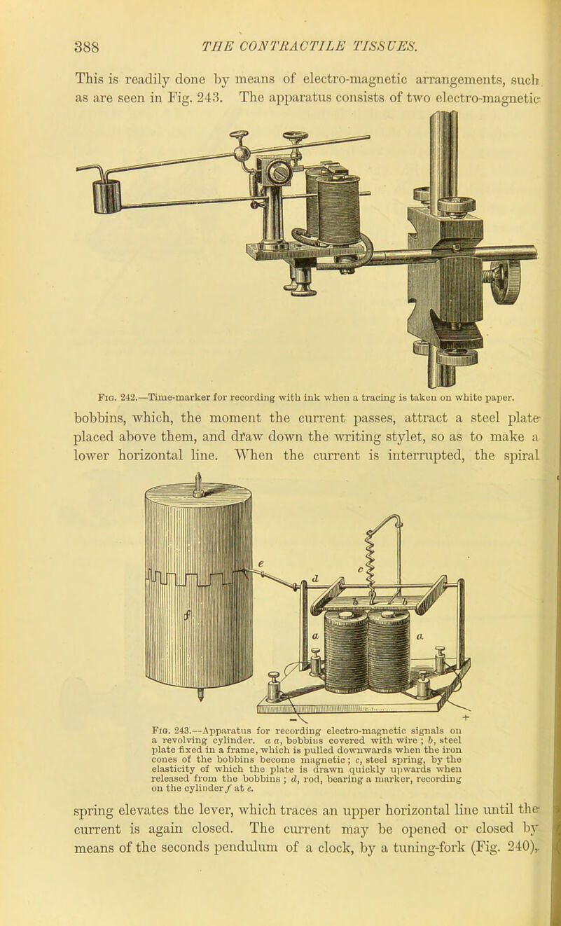 This is readily done by means of electro-magnetic arrangements, such as are seen in Fig. 243. The apparatus consists of two electro-magnetic- Fig. 242.—Time-marker for recording with ink when a tracing is taken on white paper. bobbins, which, the moment the current passes, attract a steel plate- placed above them, and draw down the writing stylet, so as to make a lower horizontal line. When the current is interrupted, the spiral Fig. 243.—Apparatus for recording electro-magnetic signals on a revolving cylinder, a a, bobbins covered with wire ; b, steel plate fixed in a frame, which is pulled downwards when the iron cones of the bobbins become magnetic; c, steel spring, by the elasticity of which the plate is drawn quickly upwards when released from the bobbins ; d, rod, bearing a marker, recording on the cylinder/ at e. spring elevates the lever, which traces an upper horizontal line until the- current is again closed. The current may be opened or closed by means of the seconds pendulum of a clock, by a tuning-fork (Fig. 240),. j