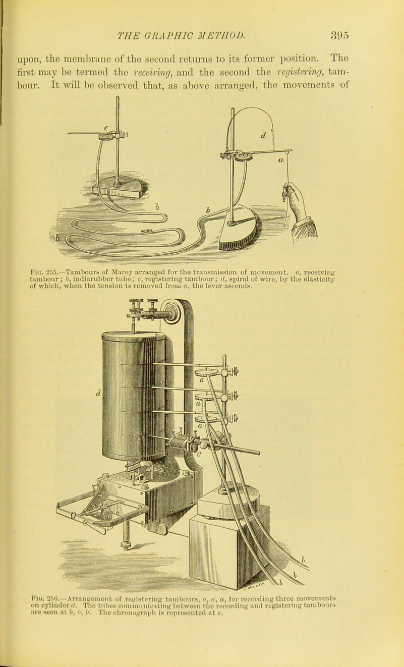 upon, the membrane of the second returns to its former position. The first may be termed the receiving, and the second the registering, tam- bour. It will be observed that, as above arranged, the movements of Fig. 255.—Tambours of Marey arranged for the transmission of movement, a, receiving tambour; b, iudiarubber tube; c, registering tambour; d, spiral of wire, by the elasticity of which, when the tension is removed from a, the lever ascends. Fid. 250.— Arrangement of registering tambours, n, n, a, for recording three movements on cylinder </. The tubes communicating between the recording and registering tambours are scon at b, 6, b. The chronograph is represented at c.