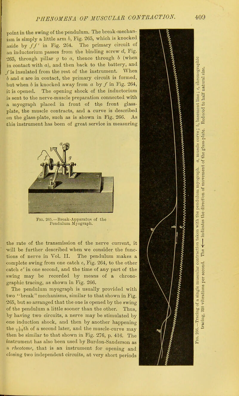 point in the swing of the pendulum. The break-mechan- ism is simply a little arm b, Fig. 265, which is kuocked aside by //' in Fig. 2G4. The primary circuit of an inductorium passes from the binding screw d, Fig. 265, through pillar <j to a, thence through b (when in contact with a), and then back to the battery, and f is insulated from the rest of the instrument. When b and a are in contact, the primary circuit is formed, but when b is knocked away from a by f in Fig. 264, it is opened. The opening shock of the inductorium is sent to the nerve-muscle preparation connected with a myograph placed in front of the front glass- plate, the muscle contracts, and a curve is described on the glass-plate, such as is shown in Fig. 266. As this instrument has been of great service in measuring Fig. 265.—Break-Apparatus of the Pendulum Myograph. the rate of the transmission of the nerve current, it will be further described when we consider the func- tions of nerve in Yol. II. The pendulum makes a complete swing from one catch e, Fig. 264, to the other catch e' in one second, and the time of any part of the swing may be recorded by means of a chrono- graphic tracing, as shown in Fig. 266. The pendulum myograph is usually provided with two “break” mechanisms, similar to that shown in Fig. 265, but so arranged that the one is opened by the swing of the pendulum a little sooner than the other. Thus, by having two circuits, a nerve may be stimulated by one induction shock, and then by another happening the of a second later, and the muscle-curve may then be similar to that shown in Fig. 276, p. 416. The instrument has also been used by Burdon-Sanderson as a rheotome, that is an instrument for opening and closing two independent circuits, at very short periods Fig. 266.—Tracing of a single muscular contraction taken with the pendulum myograph, a, muscle curve ; b, basement line ; c, ckronographic tracing, 200 vibrations per second. The ■<— indicates the direction of movement of the glass-plate. Reduced to half natural size.