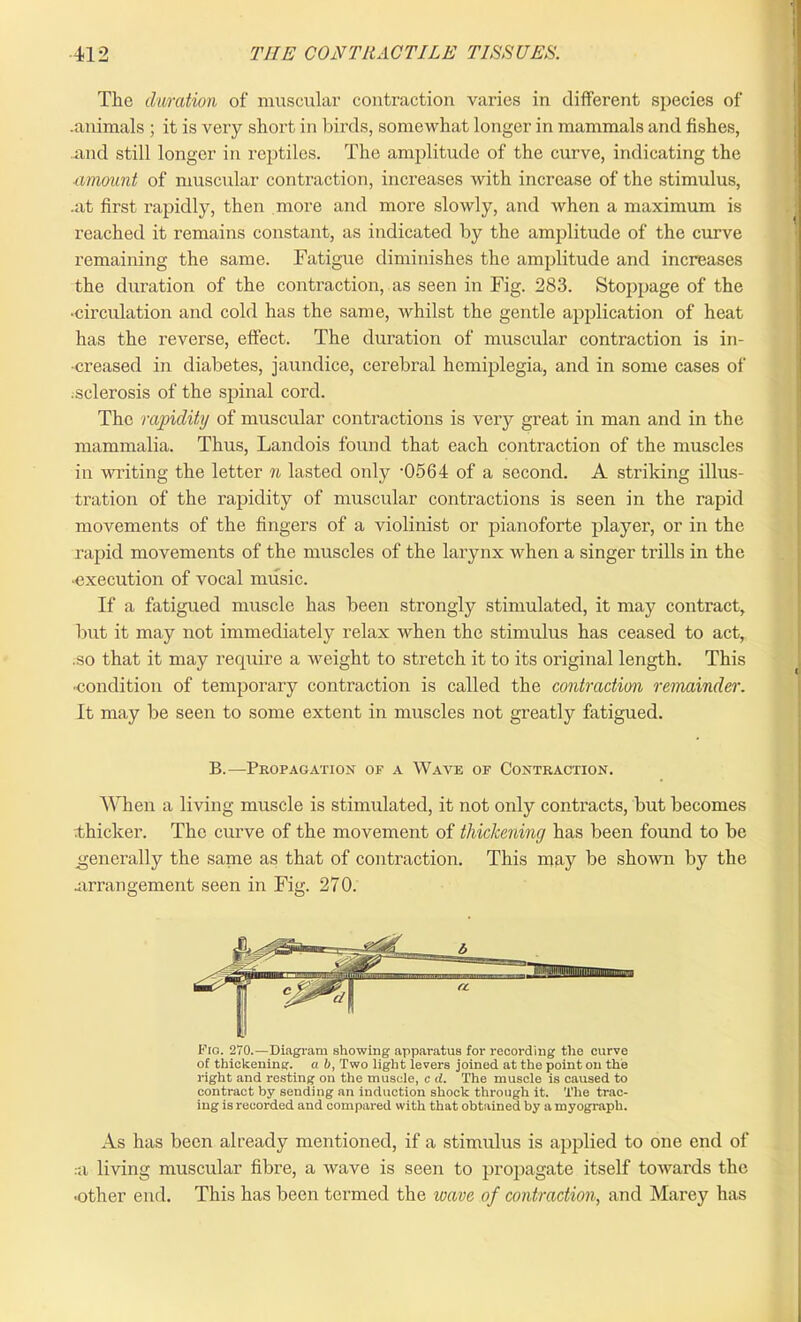 The duration of muscular contraction varies in different species of .animals ; it is very short in birds, somewhat longer in mammals and fishes, and still longer in reptiles. The amplitude of the curve, indicating the ■amount of muscular contraction, increases with increase of the stimulus, .at first rapidly, then more and more slowly, and when a maximum is reached it remains constant, as indicated by the amplitude of the curve remaining the same. Fatigue diminishes the amplitude and increases the duration of the contraction, as seen in Fig. 283. Stoppage of the •circulation and cold has the same, whilst the gentle application of heat has the reverse, effect. The duration of muscular contraction is in- -creased in diabetes, jaundice, cerebral hemiplegia, and in some cases of .sclerosis of the spinal cord. The rapidity of muscular contractions is very great in man and in the mammalia. Thus, Landois found that each contraction of the muscles in writing the letter n lasted only -0564 of a second. A striking illus- tration of the rapidity of muscular contractions is seen in the rapid movements of the fingers of a violinist or pianoforte player, or in the rapid movements of the muscles of the larynx when a singer trills in the •execution of vocal music. If a fatigued muscle has been strongly stimulated, it may contract, but it may not immediately relax when the stimulus has ceased to act, .so that it may require a weight to stretch it to its original length. This ■condition of temporary contraction is called the contraction remainder. It may be seen to some extent in muscles not greatly fatigued. B.-—Propagation of a Wave of Contraction. When a living muscle is stimulated, it not only contracts, but becomes thicker. The curve of the movement of thickening has been found to be generally the same as that of contraction. This may be shown by the .arrangement seen in Fig. 270. Fig. 270.—Diagram showing apparatus for recording the curve of thickening, a b, Two light levers joined at the point on the right and resting on the muscle, c d. The muscle is caused to contract by sending an induction shock through it. The trac- ing is recorded and compared with that obtained by a myograph. As has been already mentioned, if a stimulus is applied to one end of .a living muscular fibre, a wave is seen to propagate itself towards the •other end. This has been termed the wave of contraction, and Marey has