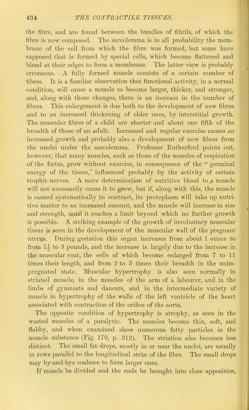 the fibre, and are found between the bundles of fibrils, of which the fibre is now composed. The sarcolemma is in all probability the mem- brane of the cell from which the fibre was formed, but some have supposed that is formed by special cells, which become flattened and blend at their edges to form a membrane. The latter view is probably erroneous. A fully formed muscle consists of a certain number of fibres. It is a familiar observation that functional activity, in a normal condition, will cause a muscle to become larger, thicker, and stronger, and, along with these changes, there is an increase in the number of fibres. This enlargement is due both to the development of new fibres and to an increased thickening of older ones, by interstitial growth. The muscular fibres of a child are shorter and about one fifth of the breadth of those of an adult. Increased and regular exercise causes au increased growth and probably also a development of new fibres from the nuclei under the sarcolemma. Professor Rutherford points out, however, that many muscles, such as those of the muscles of respiration of the foetus, grow without exercise, in consecpience of the “ germinal energy of the tissue,” influenced probably by the activity of certain trophic nerves. A mere determination of nutritive blood to p. muscle will not necessarily cause it to grow, but if, along with this, the muscle is caused systematically to contract, its protoplasm will take up nutri- tive matter to an increased amount, and the muscle will increase in size and strength, until it reaches a limit beyond which no further growth is possible. A striking example of the growth of involuntary muscular tissue is seen in the development of the muscular wall of the pregnant uterus. During gestation this organ increases from about 1 ounce to from 1| to 3 pounds, and the increase is largely due to the increase in the muscular coat, the cells of which become enlarged from 7 to 11 times their length, and from 2 to 5 times their breadth in the unim- pregnated state. Muscular hypertrophy is also seen normally in striated muscle, in the muscles of the arm of a labourer, and in the limbs of gymnasts and dancers, and in the intermediate variety of muscle in hypertrophy of the walls of the left ventricle of the heart associated with contraction of the orifice of the aorta. The opposite condition of hypertrophy is atrophy, as seen in the wasted muscles of a paralytic. The muscles become thin, soft, and flabby, and when examined show numerous fatty particles in the muscle substance (Fig. 170, p. 312). The striation also becomes less distinct. The small fat drops, mostly in or near the nuclei, are usually in rows parallel to the longitudinal striae of the fibre. The small drops may by-and-bye coalesce to form larger ones. If muscle be divided and the ends be brought into close apposition,