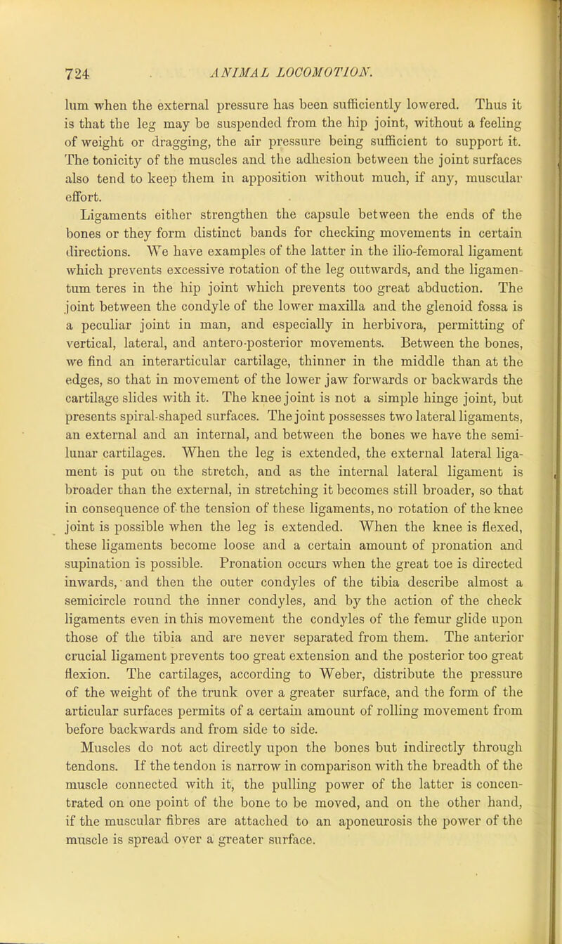 lum when the external pressure has been sufficiently lowered. Thus it is that the leg may be suspended from the hip joint, without a feeling of weight or dragging, the air pressure being sufficient to support it. The tonicity of the muscles and the adhesion between the joint surfaces also tend to keep them in apposition without much, if any, muscular effort. Ligaments either strengthen the capsule between the ends of the bones or they form distinct bands for checking movements in certain directions. We have examples of the latter in the ilio-femoral ligament which prevents excessive rotation of the leg outwards, and the ligamen- tum teres in the hip joint which prevents too great abduction. The joint between the condyle of the lower maxilla and the glenoid fossa is a peculiar joint in man, and especially in herbivora, permitting of vertical, lateral, and antero-posterior movements. Between the bones, we find an interarticular cartilage, thinner in the middle than at the edges, so that in movement of the lower jaw forwards or backwards the cartilage slides with it. The knee joint is not a simple hinge joint, but presents spiral-shaped surfaces. The joint possesses two lateral ligaments, an external and an internal, and between the bones we have the semi- lunar cartilages. When the leg is extended, the external lateral liga- ment is put on the stretch, and as the internal lateral ligament is broader than the external, in stretching it becomes still broader, so that in consequence of the tension of these ligaments, no rotation of the knee joint is possible when the leg is extended. When the knee is flexed, these ligaments become loose and a certain amount of pronation and supination is possible. Pronation occurs when the great toe is directed inwards, - and then the outer condyles of the tibia describe almost a semicircle round the inner condyles, and by the action of the check ligaments even in this movement the condyles of the femur glide upon those of the tibia and are never separated from them. The anterior crucial ligament prevents too great extension and the posterior too great flexion. The cartilages, according to Weber, distribute the pressure of the weight of the trunk over a greater surface, and the form of the articular surfaces permits of a certain amount of rolling movement from before backwards and from side to side. Muscles do not act directly upon the bones but indirectly through tendons. If the tendon is narrow in comparison with the breadth of the muscle connected with it, the pulling power of the latter is concen- trated on one point of the bone to be moved, and on the other hand, if the muscular fibres are attached to an aponeurosis the power of the muscle is spread over a greater surface.