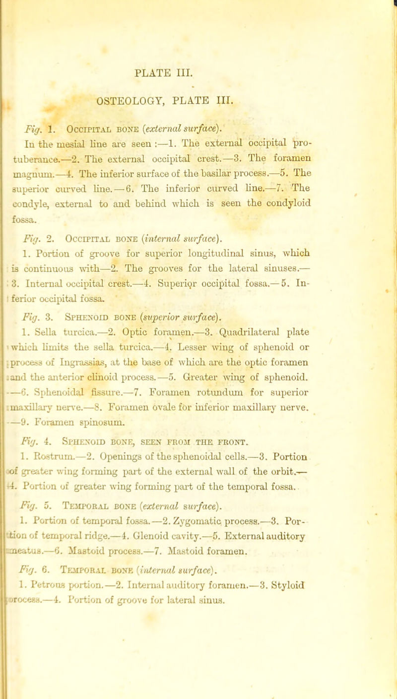 OSTEOLOGY, PLA.TE IIL Fig. 1. Occipital bo's^ [external surface). In the mesuil line ai-e seen ;—1. The external occipital pro- tuberance.—2. The external occipital crest.—3. The foramen magnimi.—4. The inferior surface of the basilar process.—5. The superior curved line. — 6. The inferior curved hne.—7. The condyle, external to and behind which is seen the condyloid fossa. Fig. 2. OccrPiTAL bone {internal surface). 1. Portion of groove for superior longitudinal sinus, which is continuous with—2. The grooves for the lateral sinuses.— : 3. Internal occipital crest.—4. Superior occipital fossa.— 5. In- : ferior occipital fossa. Fiij. 3. Sphexoid bone {superior surface). 1. Sella turcica.—2. Optic foramen.—3. Quadrilateral plate ■ wiiich limits the seUa tiu'cica.—4. Lesser mng of sphenoid or ; process of Ingi-assias, at the ba.se of which are the optic foramen J and the anterior clinoid process.—5. Greater wing of sphenoid. 6. Sphenoidal fissure.—7. Foramen rotundum for superior -.maxillary uer\e.—8. Foramen ovale for inferior maxillary nerve. —9. Foramen spinosum. Fi'j. i. Sphenoid bone, seen feoh the front. 1. Rastrum.—2. Openings of the sphenoidal cells.—3. Portion of greater wing forming part of the external wall of the orbit.-^ r4. Portion of greater wing forming pai-t of the temporal fossa. Fig. 5. Teiiporal bone {external surface). 1. Portion of temporal fossa.—2. Zygomatic process.—3. Por- •iion of temporal ridge.—4. Glenoid cavity.—5. External auditory loieatus.—6. Mastoid process.—7. Mastoid foramen. Fig. 6. Temporal hosf. {interjuxI surface). 1. Petroai portion.—2. Internal auditory foramen.—3. Styloid oceas.—4. Portion of groove for lateral sinas.