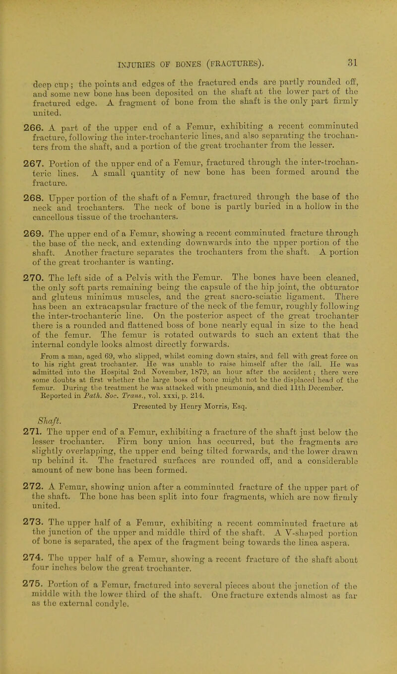 deep cup; the points and edges of the fractured ends are partly rounded off, and some new bone has been deposited on the shaft at the lower part of the fractured edge. A fragment of bone from the shaft is the only part firmly united. 266. A part of the upper end of a Femur, exhibiting a recent comminuted fracture, following the inter-troclianteric lines, and also separating the trochan- ters from the shaft, and a portion of tlie great trochanter from the lesser. 267. Portion of the upper end of a Femur, fractured through the inter-trochan- teric lines. A small quantity of new bone has been formed around the fractai'e. 268. Upper portion of the shaft of a Femur, fractured through the base of the neck and trochanters. The neck of bone is partly buried in a hollow in the cancellous tissue of the trochanters. 269. The upper end of a Femur, showing a recent comminuted fracture through the base of the neck, and extending downwards into the upper portion of the shaft. Another fracture separates the trochanters from the shaft. A portion of the great trochanter is wanting. 270. The left side of a Pelvis with the Femur. The bones have been cleaned, the only soft pai-ts remaining being the capsule of the hip joint, the obturator and gluteus minimus muscles, and the great sacro-sciatic ligament. There has been an extracapsular fracture of the neck of the femur, roughly following the inter-trochanterio line. On the posterior aspect of the great trochanter there is a rounded and flattened boss of bone nearly equal in size to the head of the femur. The femur is rotated outwards to such an extent that the internal condyle looks almost directly forwards. Prom a man, aged 69, wlio slipped, whilst coming down stairs, and fell with great force on to his right great trochanter. He was unable to raise himself after the iall. He was admitted into the Hospital 2nd November, 1879, an hour after the accident; there were some doubts at first whether the large boss of bone might not be the displaced head of the femur. During the treatment he was attacked witli pneumonia, and died 11th December. Reported in Path. Soc. Trans., vol. xxxi, p. 214. Presented by Henry Morris, Esq. Shaft. 271. The upper end of a Femur, exhibiting a fracture of the shaft jnst below the lesser trochanter. Firm bony union has occurred, but the fragments are slightly overlapping, the upper end being tilted forwards, and the lower di-awn up behind it. The fractured surfaces are rounded off, and a considerable amount of new bone has been formed. 272. A Femur, shovFing union after a comminuted fracture of the upper part of the shaft. The bone has been split into four fragments, which are now firmly united. 273. The upper half of a Femur, exhibiting a recent comminuted fracture at the junction of the upper and middle third of the shaft. A V-sh:)ped portion of bone is separated, the apex of the fragment being towards the linea aspera. 274. The upper half of a Femur, showing a recent fracture of the shaft about four inches below the great trochanter. 275. Portion of a Femur, fractured into several pieces about the junction of the middle with the lower third of the shaft. One fracture extends almost as far as the external condyle.