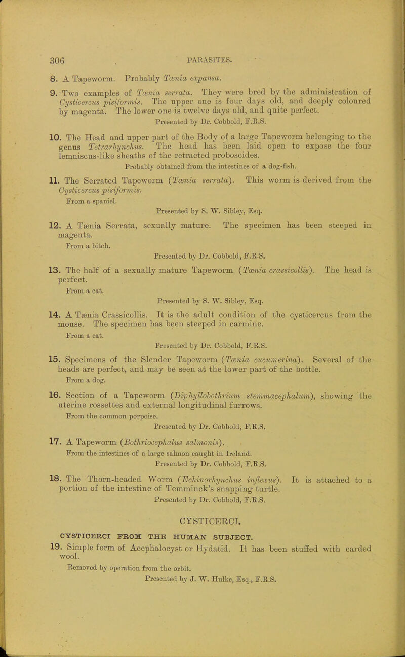 8. A Tapeworm. Probably Tcenia expansa. 9. Two examples of Tcenia sen-ata. They were bred by the administration of Gysticercus yisiformis. The upper one is four days old, and deeply coloured by magenta. The lower one is twelve days old, and quite perfect. Presented by Dr. Cobbold, F.E.S. 10. The Head and upper part of the Body of a large Tapeworm belonging to the genus Tetrarhynch'us. The head has been laid open to expose the four lemniscus-like sheaths of the retracted proboscides. Probably obtained from tlie intestines of a dog-fish. 11. The Serrated Tapeworm (Tcenia serrata). This worm is derived from the Gysticercus pisiformis. Prom a spaniel. Presented by S. W. Sibley, Esq. 12. A Tsenia Serrata, sexually mature. The sjjecimen has been steeped in magenta. From a bitch. Presented by Dr. Cobbold, F.E.S. 13. The half of a sexually mature Tapeworm (Tcenia crassicollis). The head is perfect. From a cat. Presented by S. W. Sibley, Esq. 14. A Tsenia Crassicollis. It is the adult condition of the cysticercus from the mouse. The specimen has been steeped in carmine. From a cat. Presented by Dr. Cobbold, F.E.S. 15. Specimens of the Slender Tapeworm (Tcenia cucumerina). Several of the heads are perfect, and may be seen at the lower part of the iDottle. From a dog. 16. Section of a Tapeworm (Diphyllohotlirium stemviacephalum), showing the uterine rossettes and external longitudinal fui'rows. From the common porpoise. Presented by Dr. Cobbold, F.E.S. 17. A Tapeworm (Botliriocepliahis salmonis'). From the intestines of a large salmon caught in Ireland. Presented by Dr. Cobbold, F.E.S. 18. The Thorn-headed Worm (Echinorhynclius inflexus). It is attached to a portion of the intestine of Temminck's snapping turtle. Presented by Dr. Cobbold, F.E.S. CYSTICERCT. CYSTICERCI FROM THE HUMAN SUBJECT. 19. Simple form of Acephalocyst or Hydatid. It has been stufEed with carded wool. Eemoved by operation from the orbit. Presented by J. W. Hulke, Esq., F.E.S.