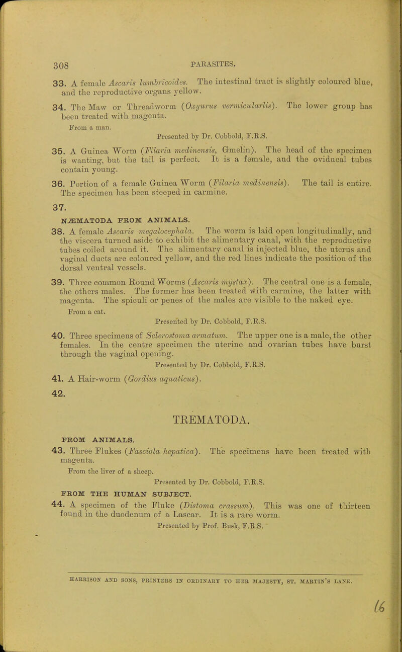 33. A female Ascaris lumhricoides. The intestinal tract is slightly coloured blue, and the repi-oductive organs yellow. 34. The Maw or Threadworm. {Oxijurus vermicularlis). The lower group has been treated with magenta. From a man. Presented by Dr. Cobbold, F.R.S. 35. A Guinea Worm (Filaria meclinensis, Gmelin). The head of the specimen is wanting, but the tail is perfect. It is a female, and the oviducal tubes contain young. 36. Portion of a female Guinea Worm (Filaria mediiiensis). The tail is entire. The specimen has been steeped in carmine. 37. N^MATODA from: ANIMALS. 38. A female Ascaris megalocephala. The worm is laid open longitudinally, and the viscera turned aside to exhibit the alimentary canal, with the reproductive tubes coiled around it. The alimentary canal is injected blue, the uterus and vaginal ducts are coloured yellow, and the red lines indicate the position of the dorsal ventral vessels. 39. Three common Round Worms (Ascaris mystax). The central one is a female, the others males. The former has been treated with carmine, the latter with magenta. The spiculi or penes of the males are visible to the naked eye. From a cat. Presented by Dr. Cobbold, F.R.S. 40. Thvee S'pecimensoi Sclerostoma armatum. The upper one is a male, the other females. In the centre specimen the uterine and ovai'ian tubes have burst through the vaginal opening. Presented by Dr. Cobbold, F.R.S. 41. A Hair-worm (Gordius aquaticus). 42. TEEMATODA. FROM ANIMALS. 43. Thi-ee Flukes (Fasciola liepatica). The specimens have been treated with magenta. From tlie liver of a sheep. Presented by Dr. Cobbold, F.R.S. FROM THE HITMAN SUBJECT. 44. A specimen of the Fluke (Distoma crassum). This was one of thirteen found in the duodenum of a Lascar. It is a rare worm. Presented by Prof. Busk, F.R.S. HAEBISON AND SONS, PEINTEES IN OEDINAET TO HEE MAJESTY, ST, MAETIN'S LANE.