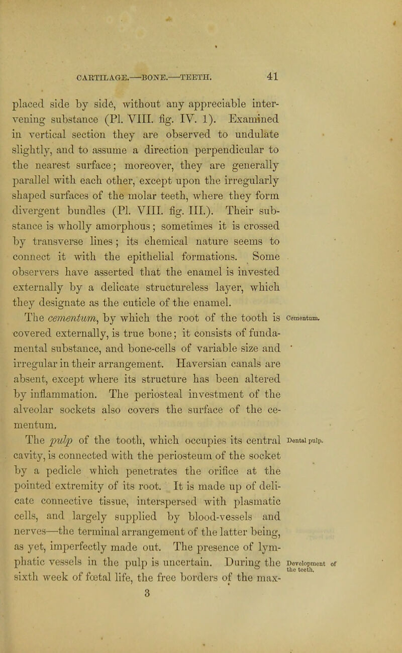 placed side by sid6, without any appreciable inter- vening substance (PI. VIII. fig. IV. 1). Examined in vertical section they are observed to undulate slightly, and to assume a direction perpendicular to the nearest surface; moreover, tliey are generally jDarallel with, each other, except upon the irregularly shaped surfaces of the molar teeth, where they form divergent bundles (PI. VIII. fig. III). Their sub- stance is wholly amorphous ; sometimes it is crossed by transverse lines; its chemical nature seems to connect it with the epithelial formations. Some observers have asserted that the enamel is invested externally by a delicate structureless layer, which, they designate as the cuticle of the enamel. The cementum^ by whicli the root of th.e tooth is cementum. covered externally, is true bone; it consists of funda- mental substance, and bone-cells of variable size and * irregular in their arrangement. Haversian canals are absent, excejDt where its structure has been altered by inflammation. The periosteal investment of the alveolar sockets also covers the surface of the ce- mentum. The pulp of the tooth, which occupies its central Dentaipuip. cavity, is connected with the periosteum of the socket by a pedicle wliich. penetrates the orifice at the pointed extremity of its root. It is made up of deli- cate connective tissue, interspersed with plasmatic cells, and largely supplied by blood-vessels and nerves—the terminal arrangement of the latter being, as yet, imperfectly made out. The presence of lym- phatic vessels in the pulp is uncertain. .Durine: the Doveiopment of . ^ n f the tooth. Sixth week of fcetal life, the free borders of the max- 3